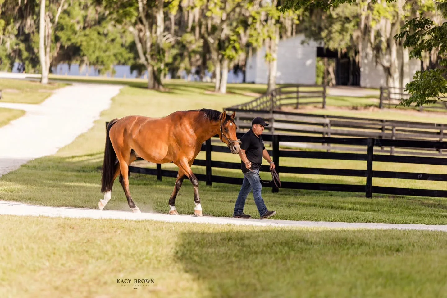 Hard work builds legacies. 💪🐎 

This Labor Day, we celebrate the hard work, dedication, and passion that make Persaud Legacy Farms unique. Every arena, pasture, and conditioning track reflects countless hands, tireless care, and the horses that ins