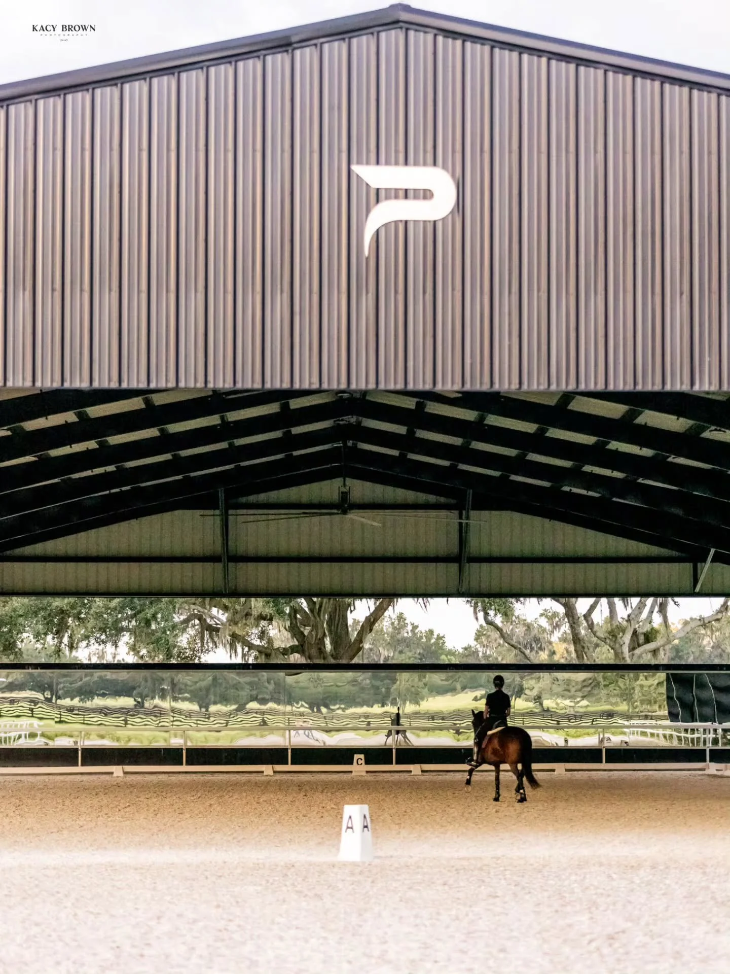 Strength. Grace. Forward momentum. Train boldly. Compete with heart. Honor the horse. 

2026 is the Year of the Horse &mdash; and we&rsquo;re here for it. 

Happy Lunar New Year from all of us at Persaud Legacy Farms. ✨️🐎