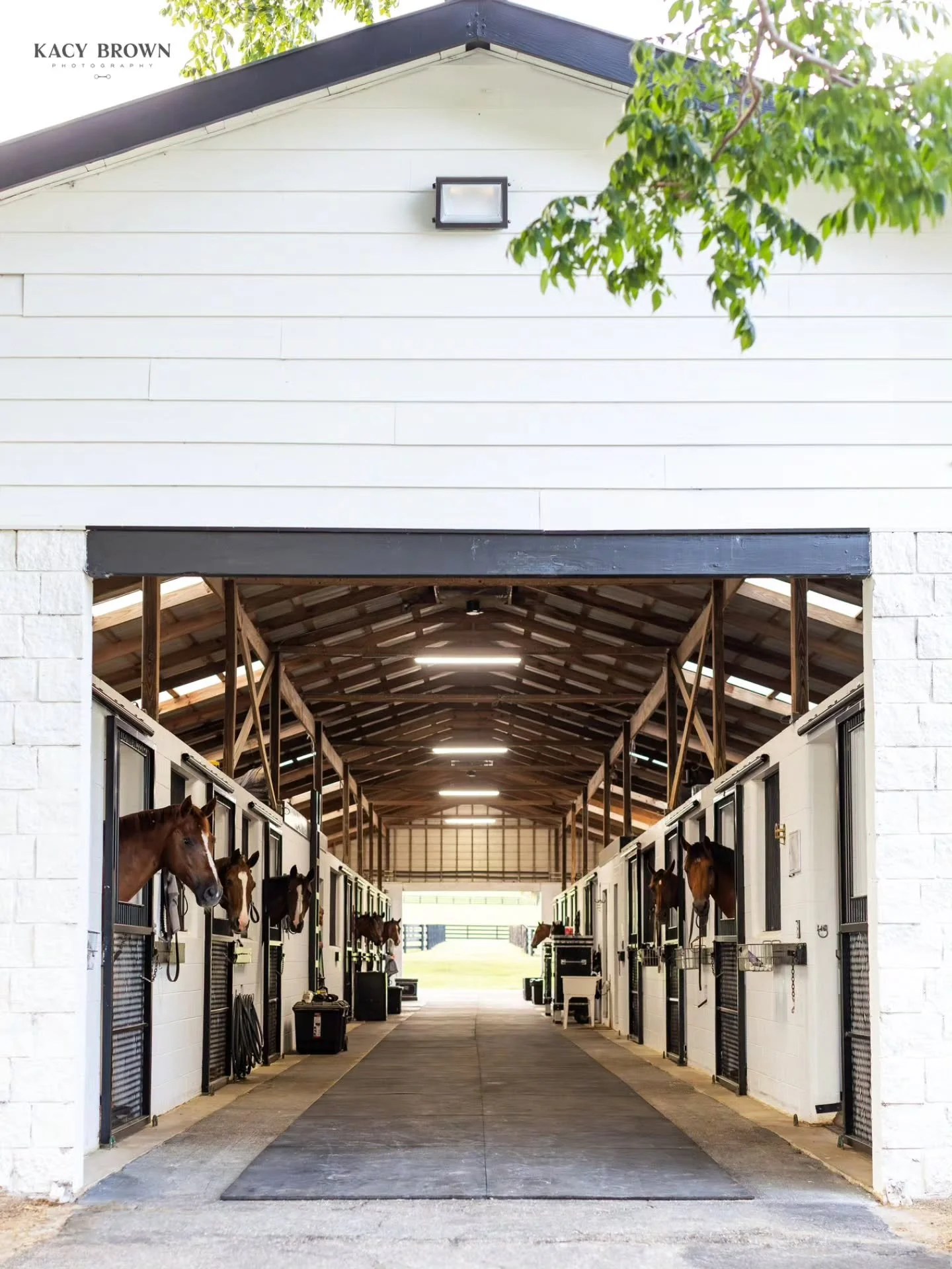 📢 Now Accepting a Limited Number of Full-Care Stalls! 📢

Beginning next month, a select number of full-care stalls will become available at Persaud Legacy Farms.

Designed for serious horsemen who value world-class training spaces, thoughtful ameni