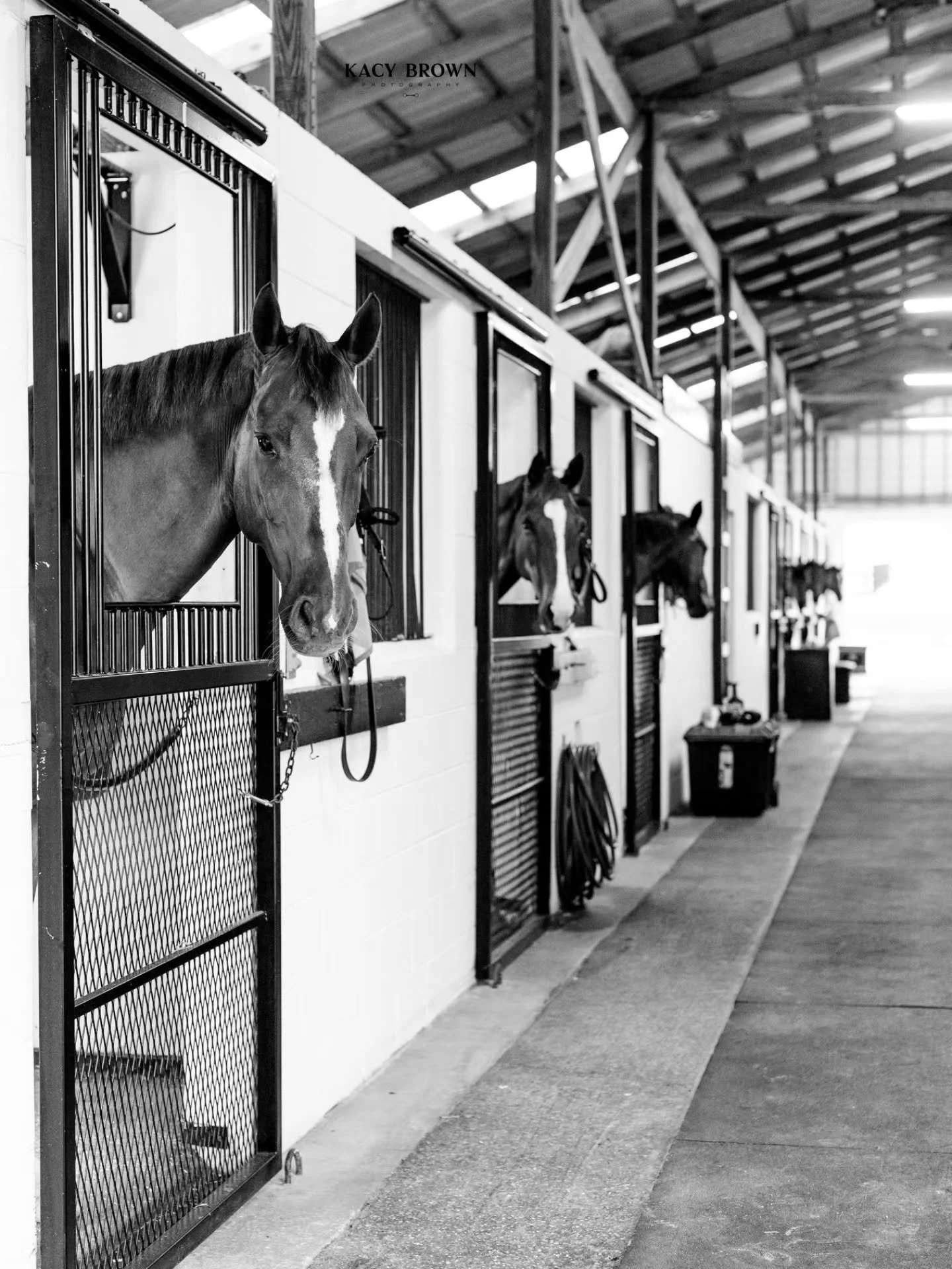Full care, thoughtfully done.

Designed for riders who value exceptional footing, thoughtful amenities, and a professional, horse-first environment.

Openings are limited.

Comment FULL CARE for details.