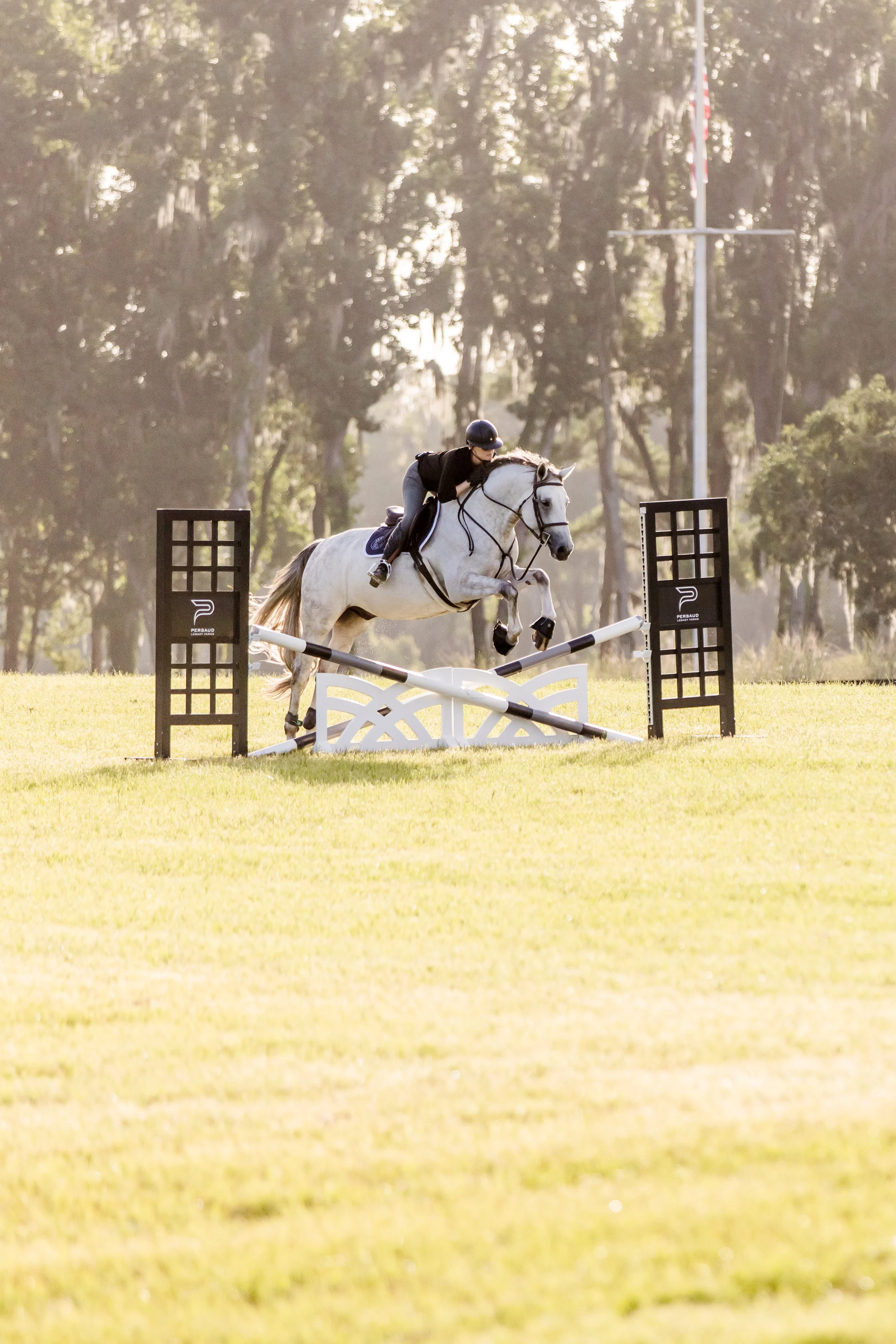 A person riding a white horse jumps over an obstacle in a horse riding competition on a grassy field with trees in the background.