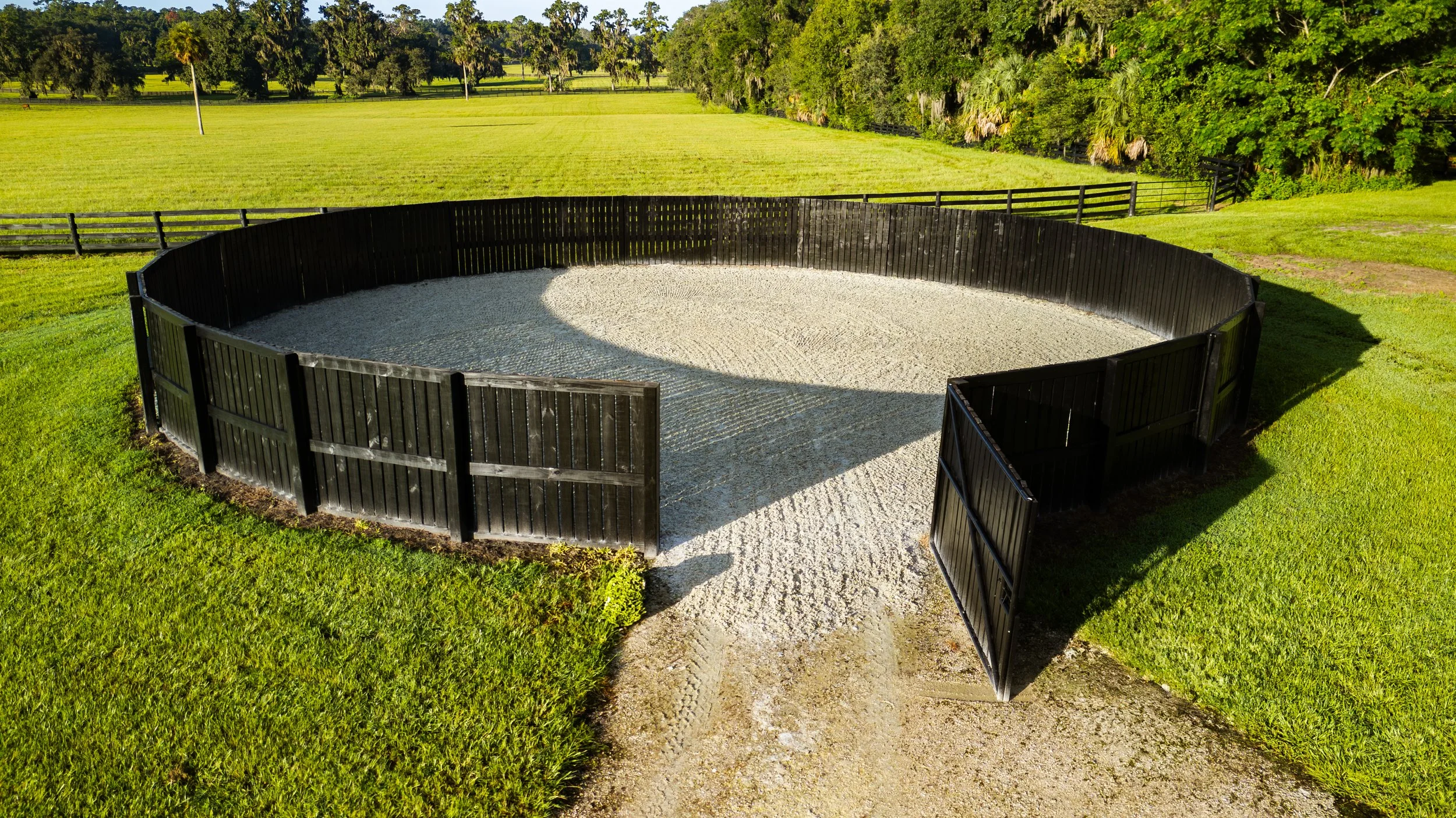 A circular horse riding arena with black fencing and a sand surface, surrounded by green grass and trees in the background.