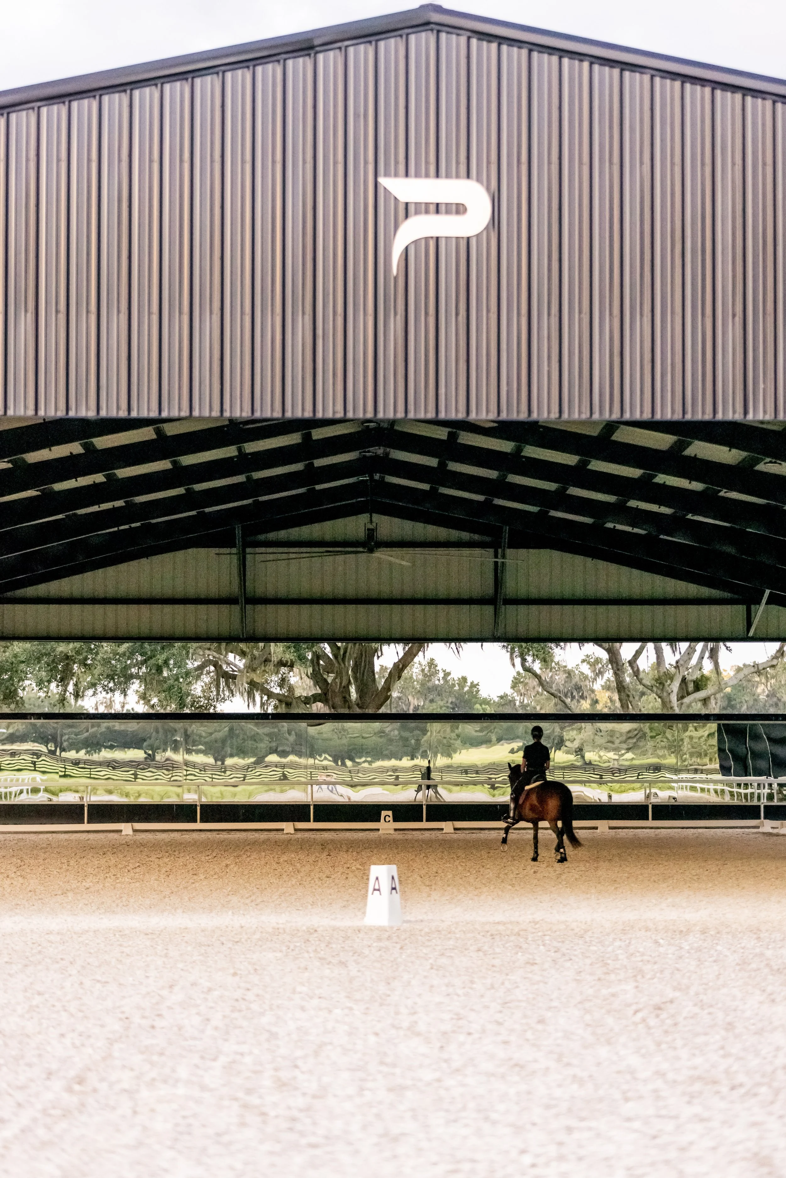 An indoor equestrian arena with a rider on horseback practicing, visible reflection of the arena's open space and trees outside, large sign with a logo on the wooden upper wall.
