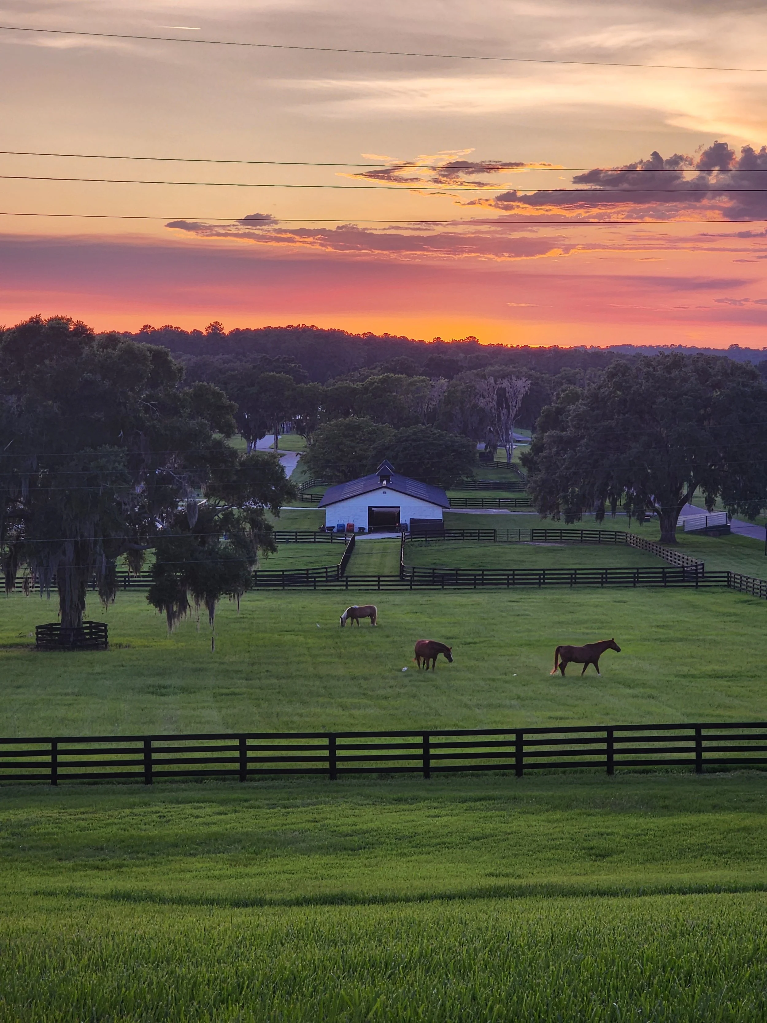 A scenic farm landscape at sunset featuring green fields, three horses grazing near a white barn, several large trees with hanging moss, and a colorful sky with clouds.
