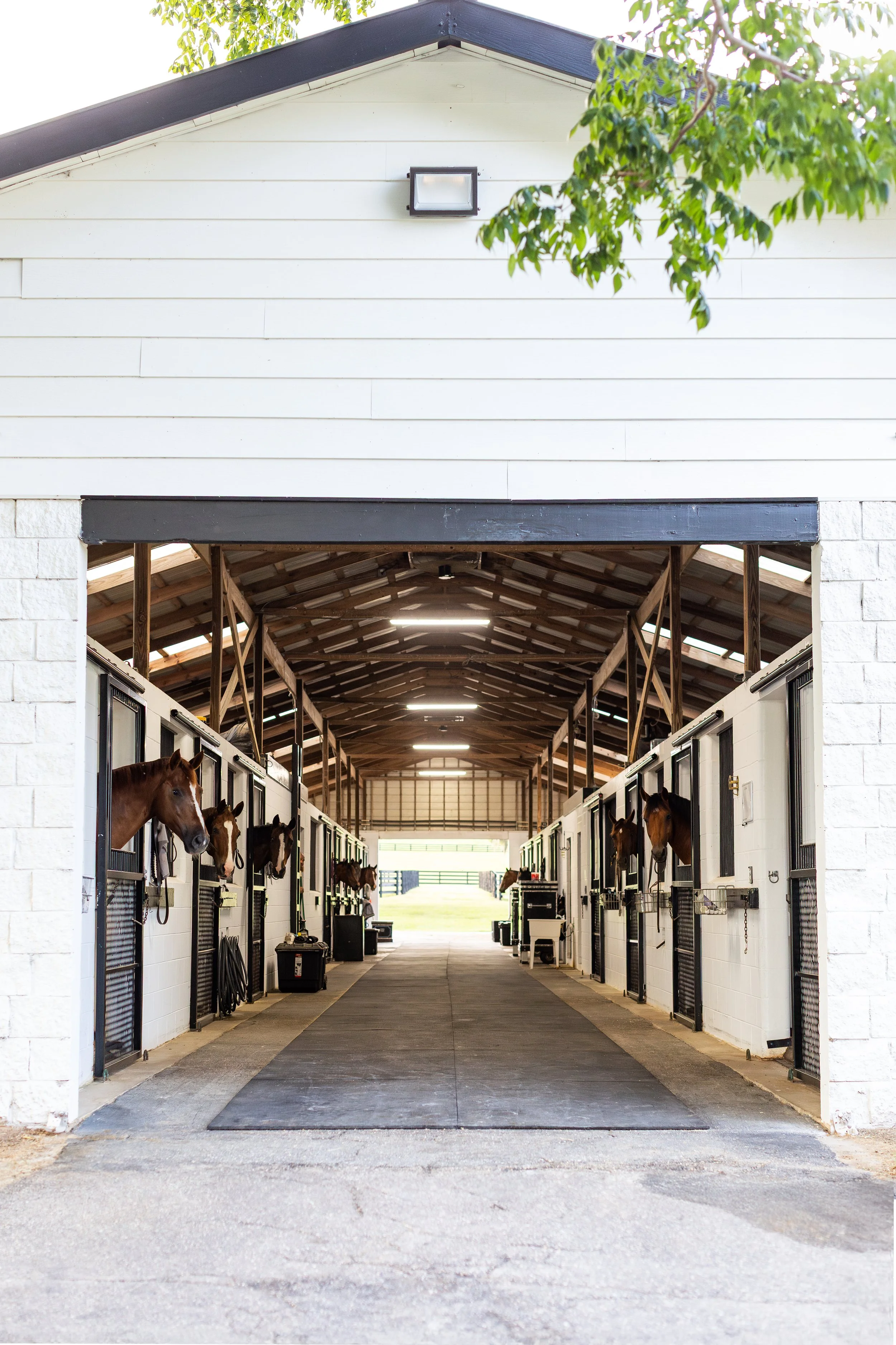 Equine stable entrance with horses peeking out of stalls on both sides, wood and metal construction, open door revealing outdoor field, and trees in background.