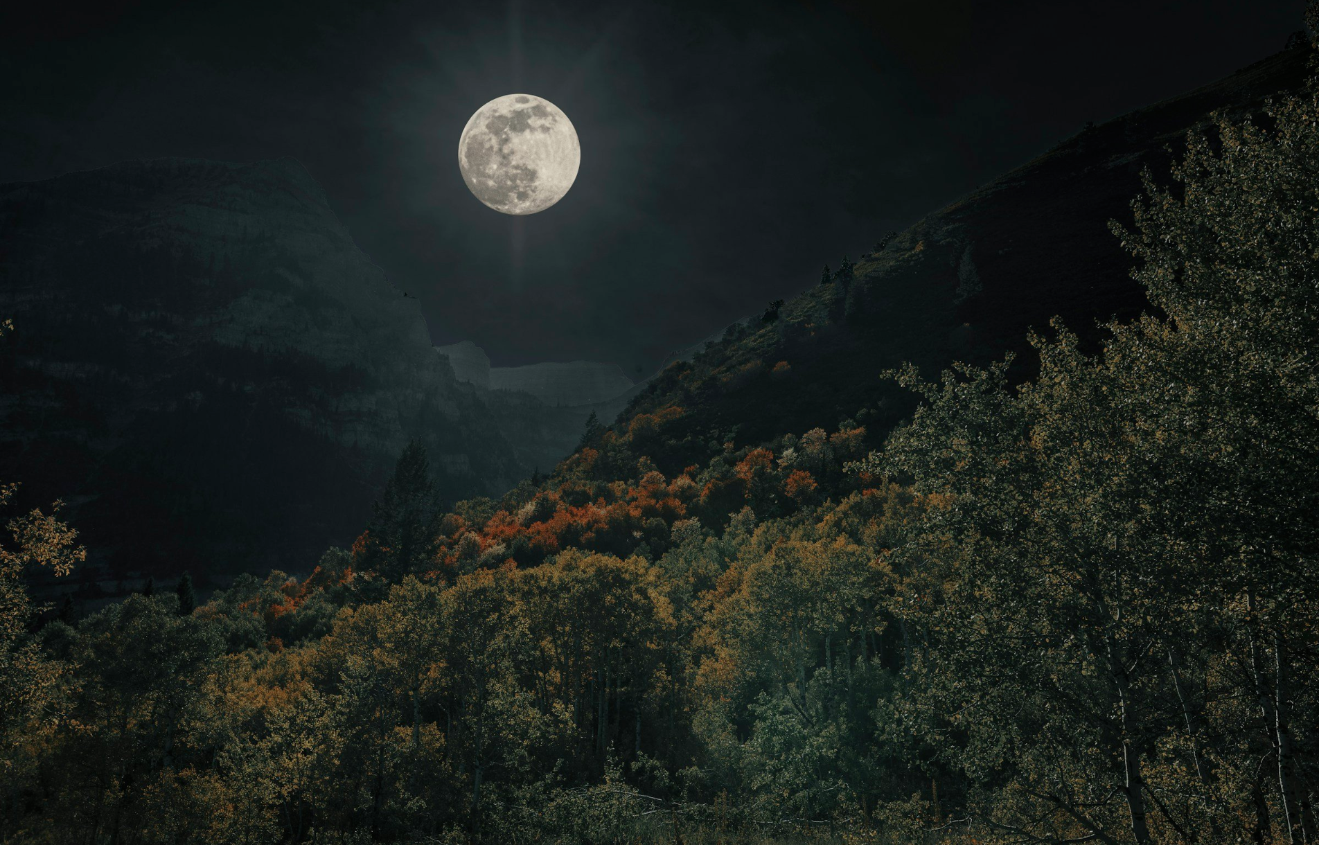 Full Moon Hike