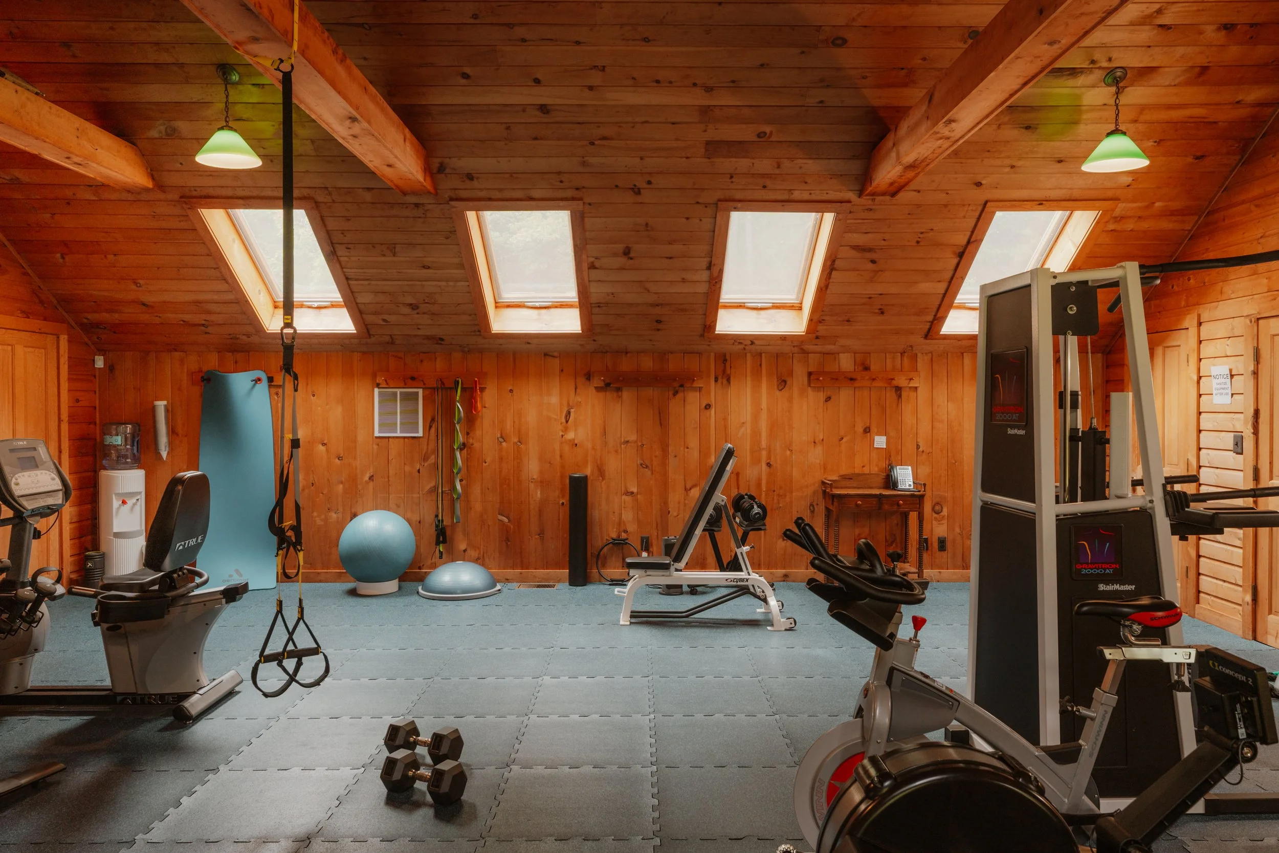 Home gym with wooden walls and ceiling, skylight windows, and various exercise equipment including a stationary bike, a rowing machine, dumbbells, exercise balls, a gym mat, and suspension training straps.