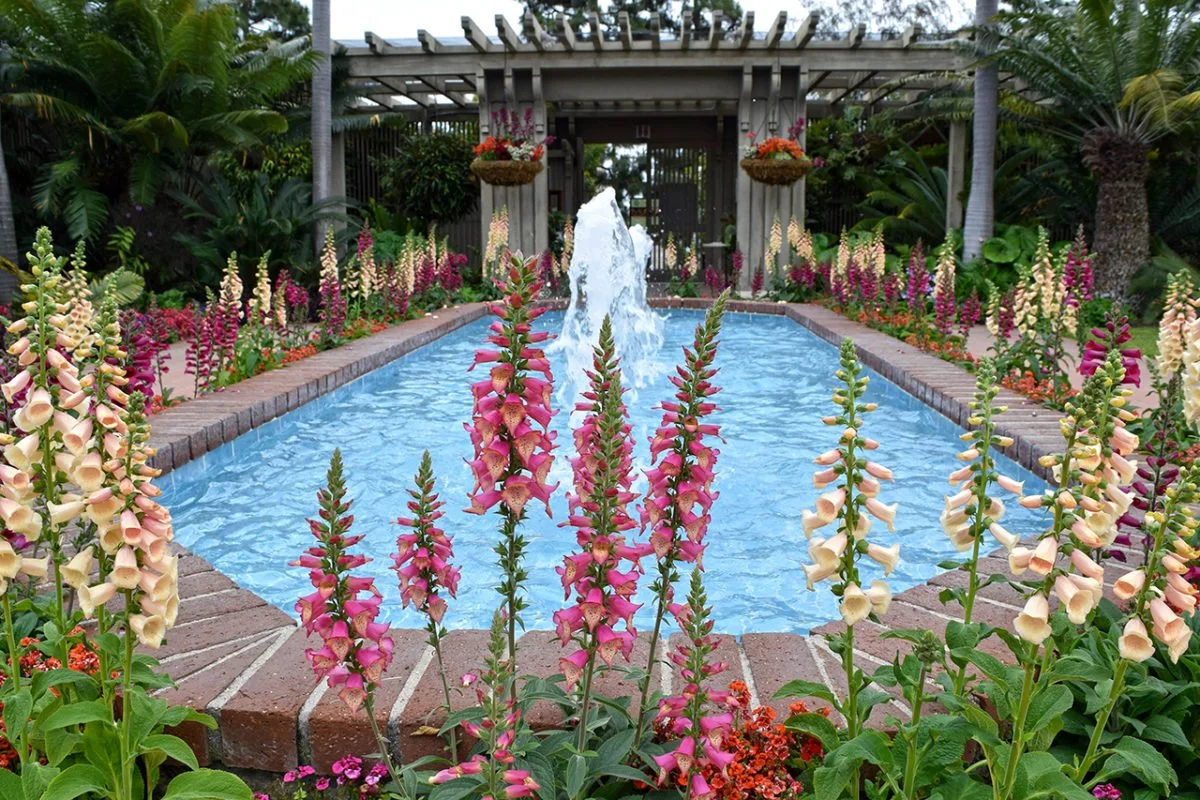 Sherman Library &amp; Gardens