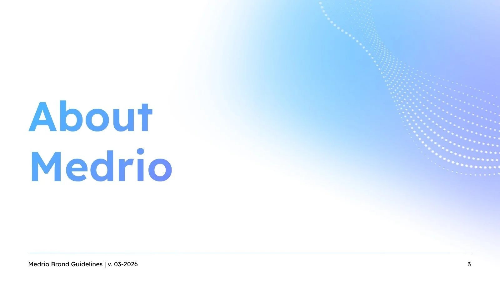 medrio-brandbook-03.jpg