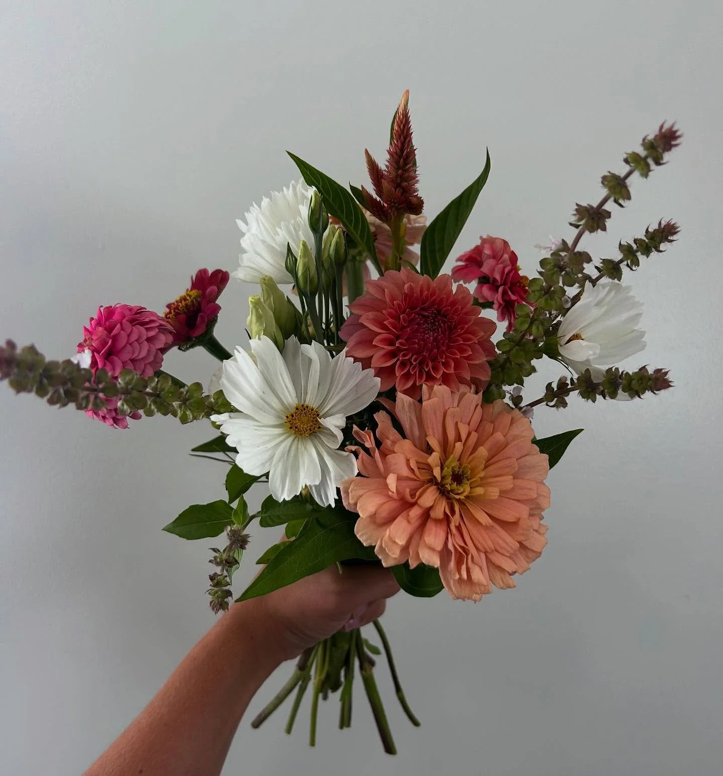 These august bouquets 🤩
Find them this weekend at @kurtlandfarms 
We just did a huge restock for the weekend! 

#bluerockblooms #dahlias #freshcutflowers #localflowers #cutflowers #cosmos
