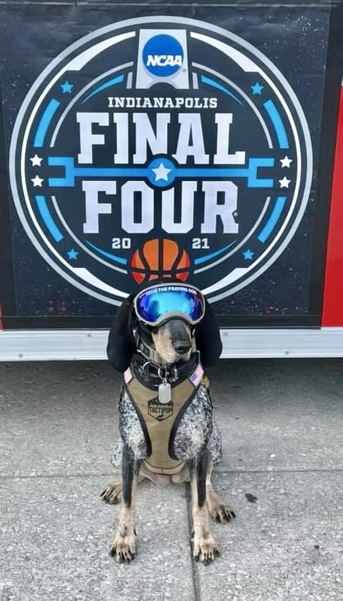 Dog wearing goggles and a vest sitting in front of a sign for the 2021 NCAA Indianapolis Final Four basketball tournament.