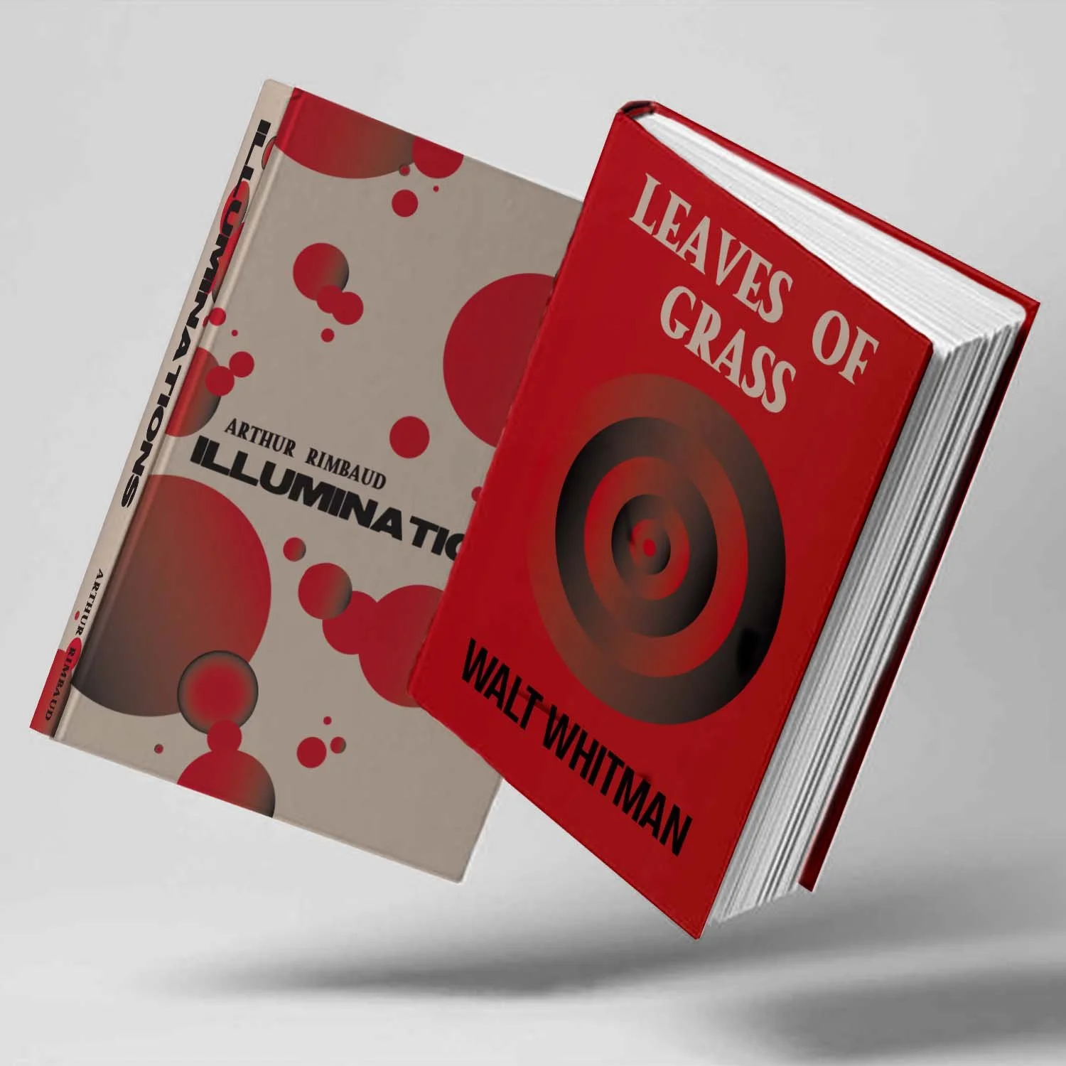 book 2 3 mockup.jpg