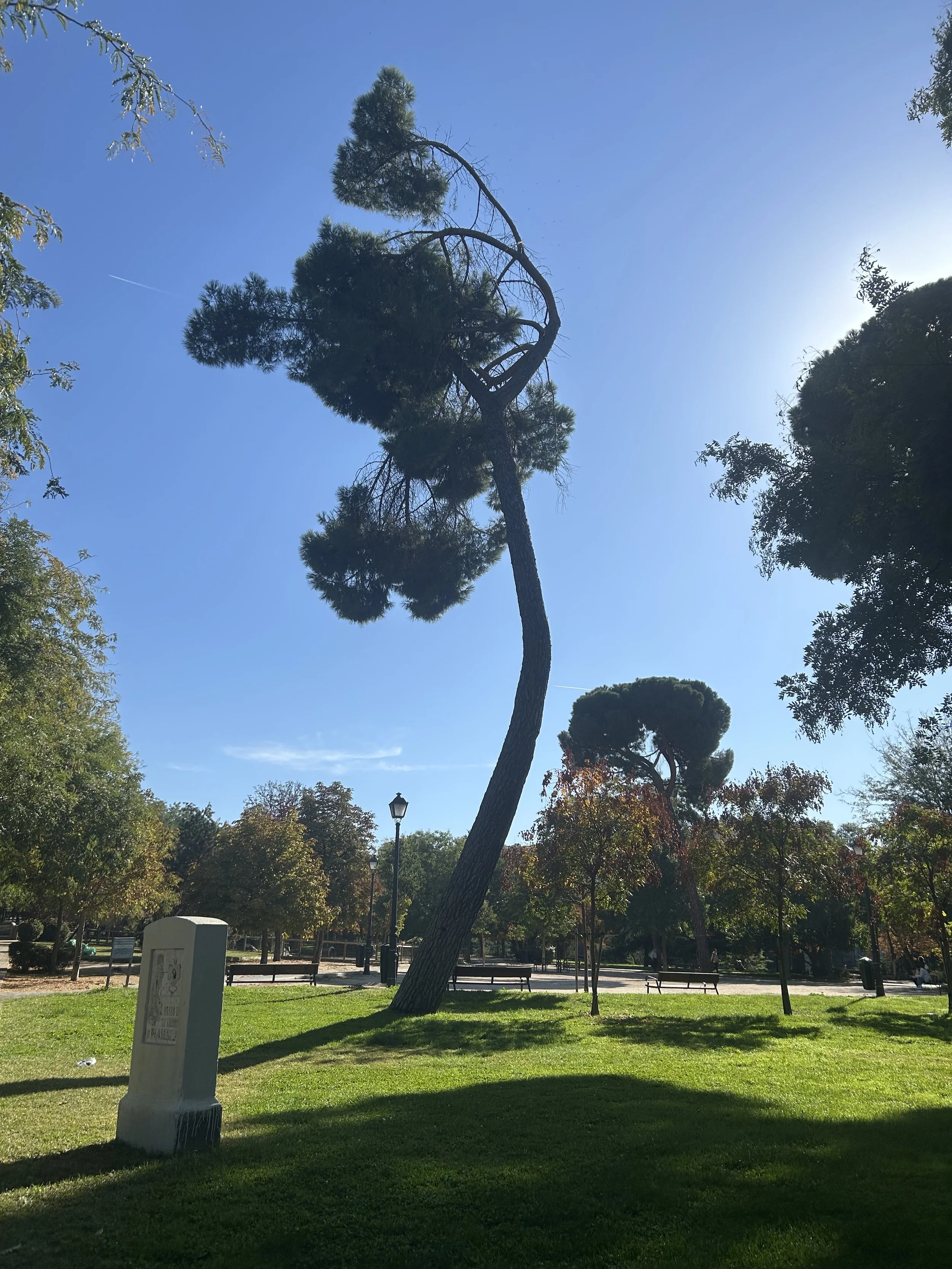 Más Dias! Más Momentos 