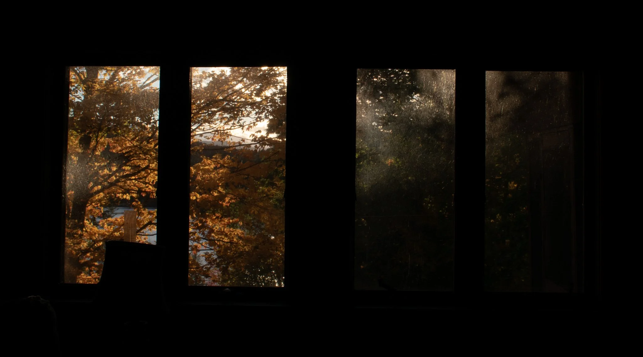 window.jpg