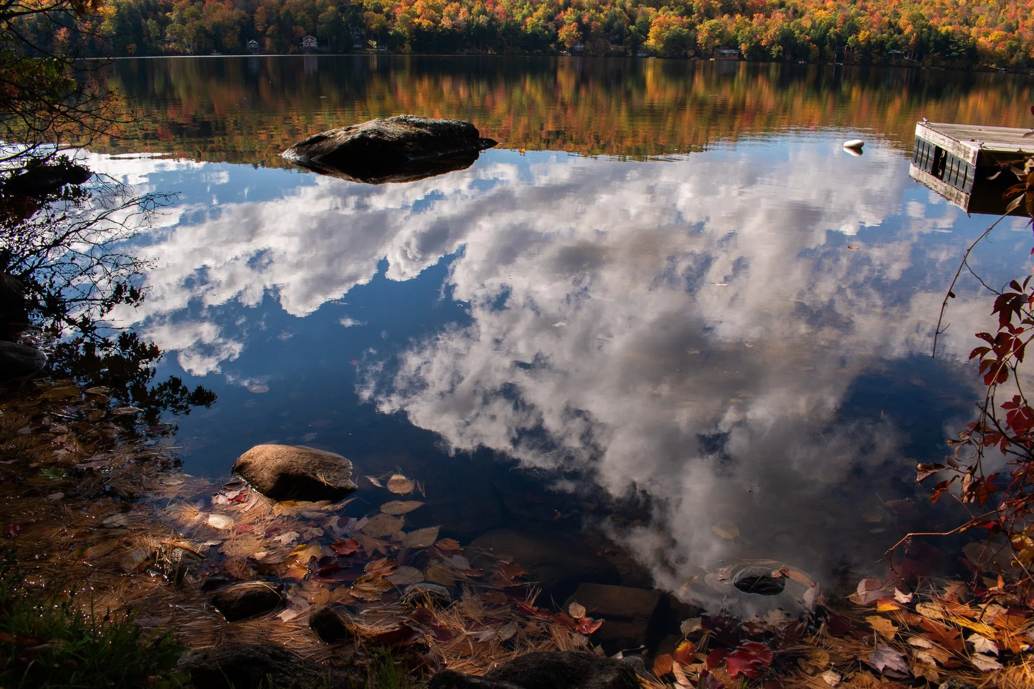 reflection.jpg