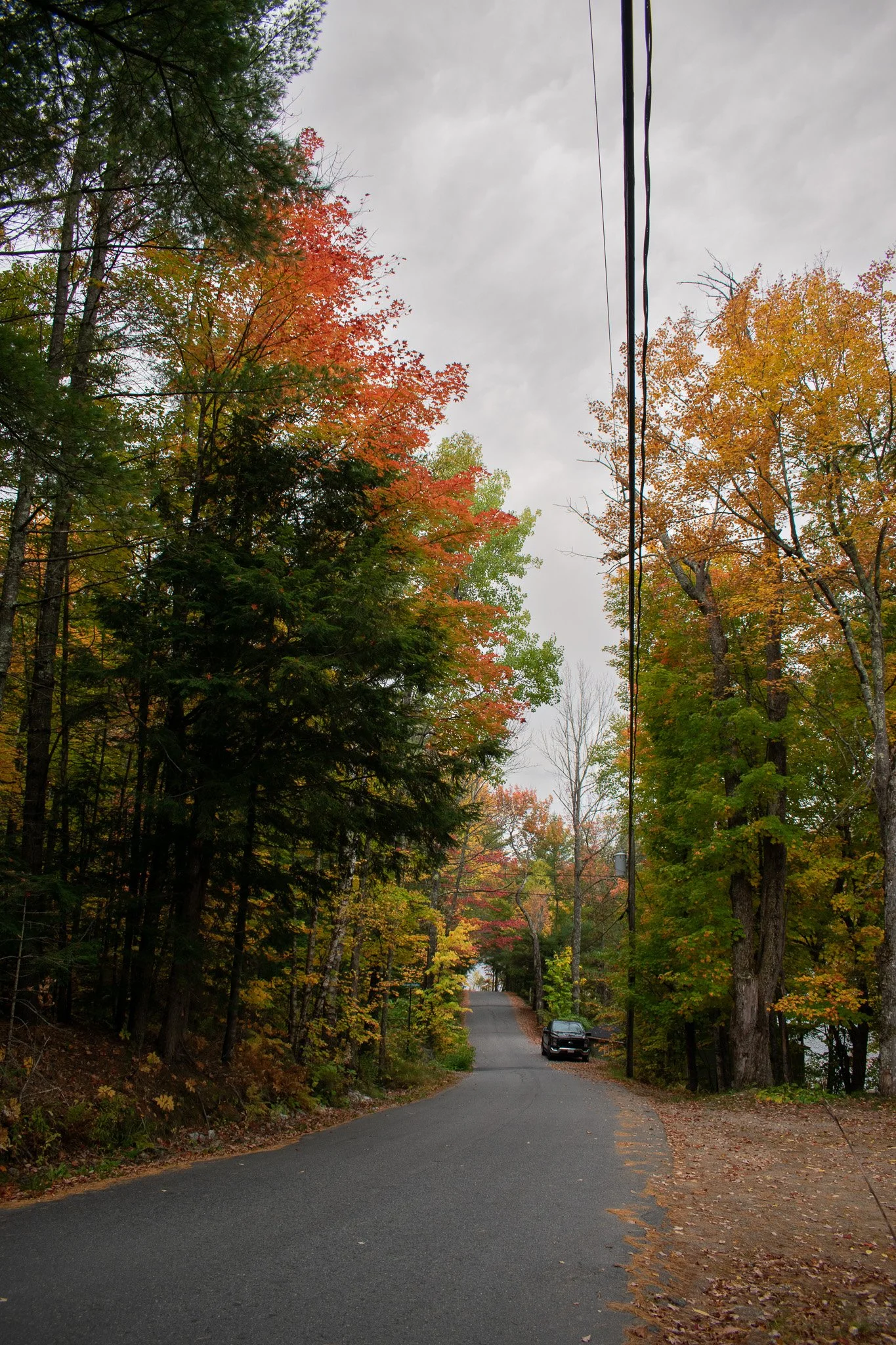 road.jpg