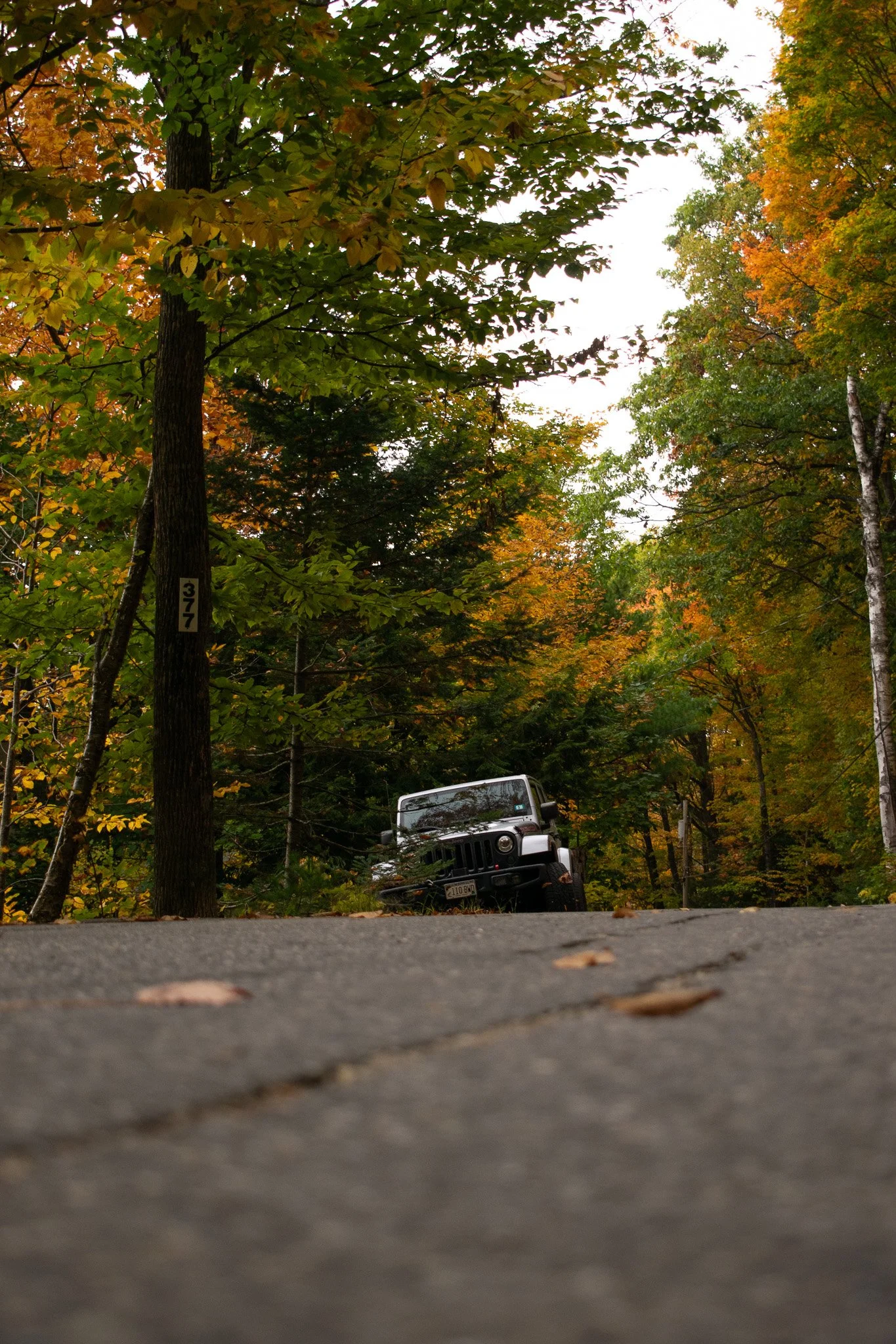 jeep.jpg
