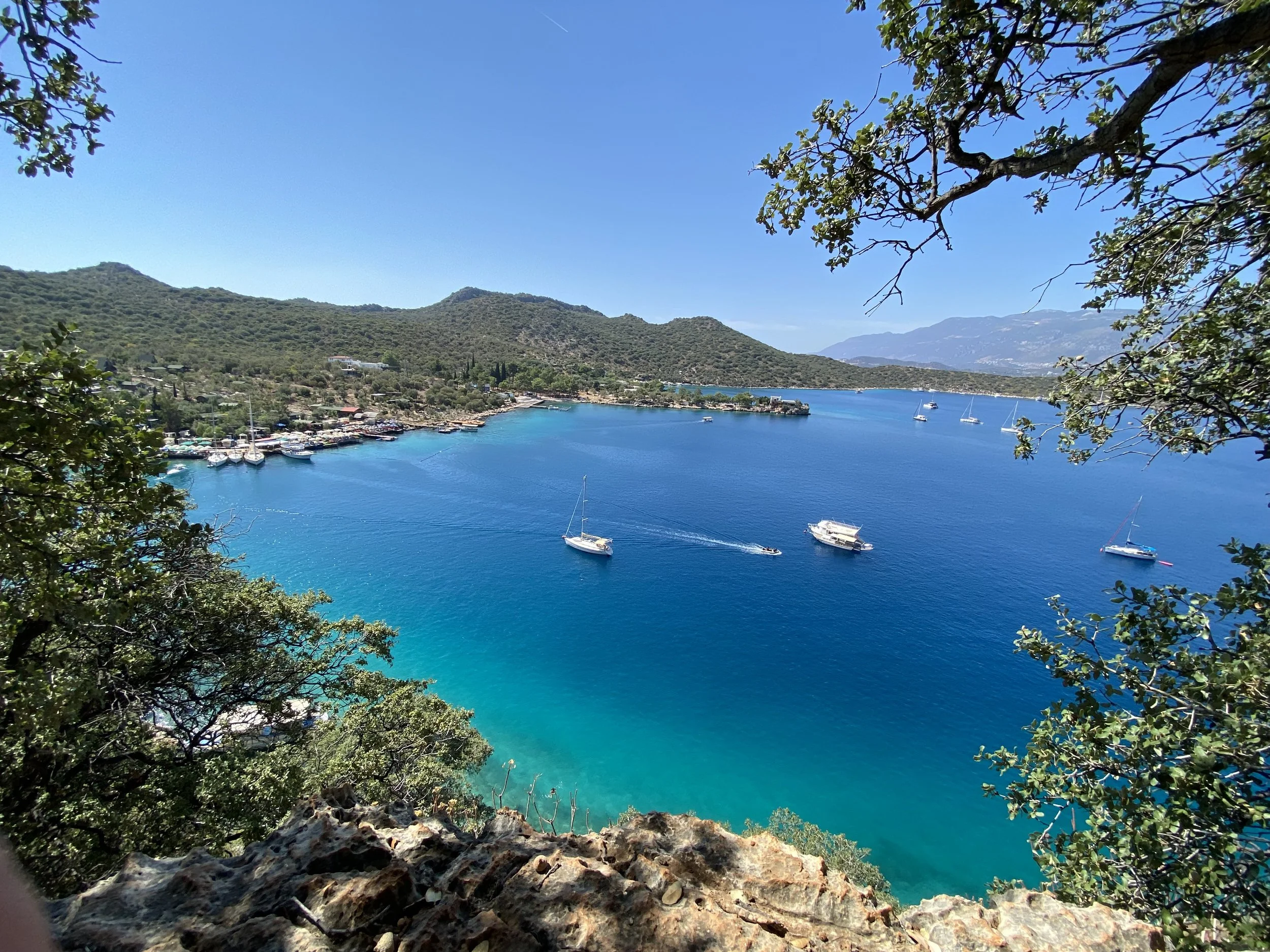 A scenic view of a bay with turquoise waters and several sailboats and yachts, surrounded by green hills and trees with a clear blue sky.