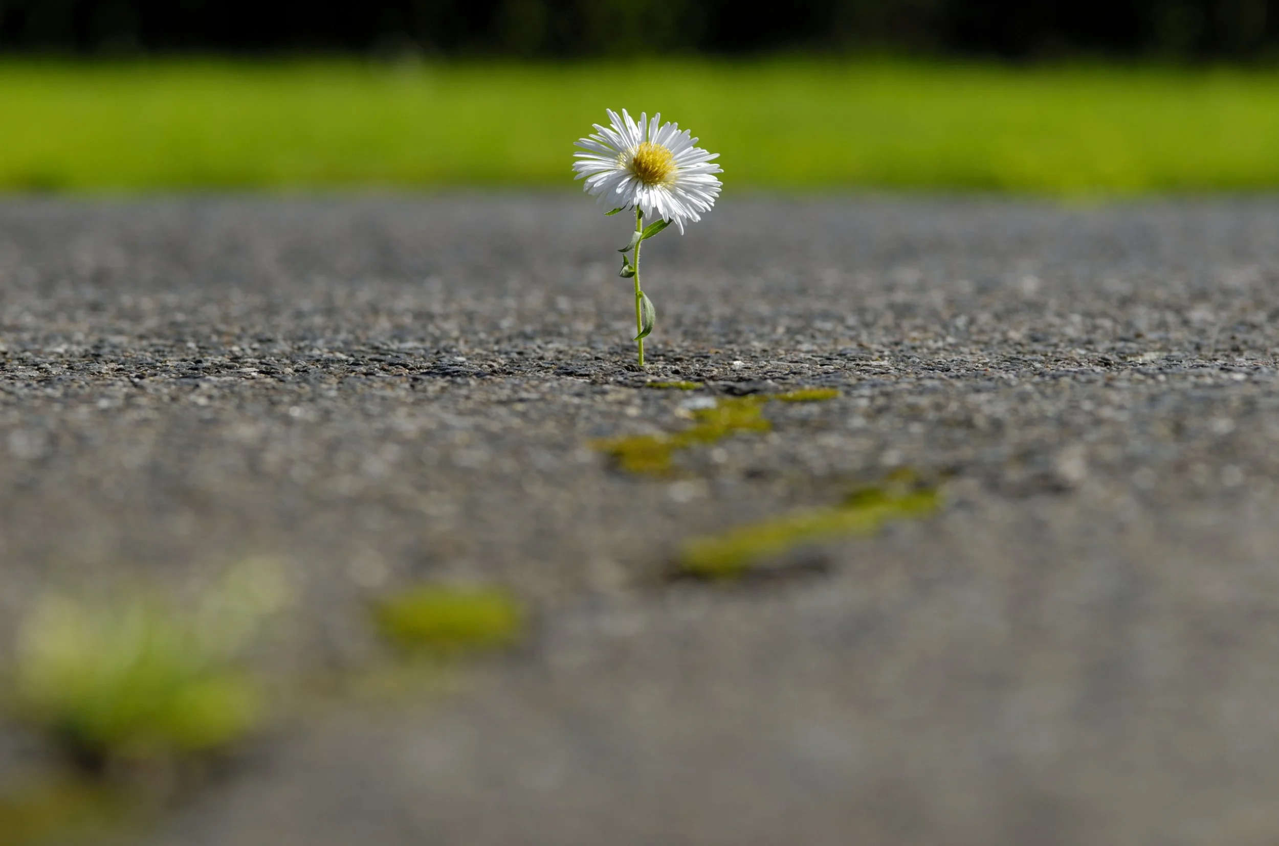 Feeling alone during transitions