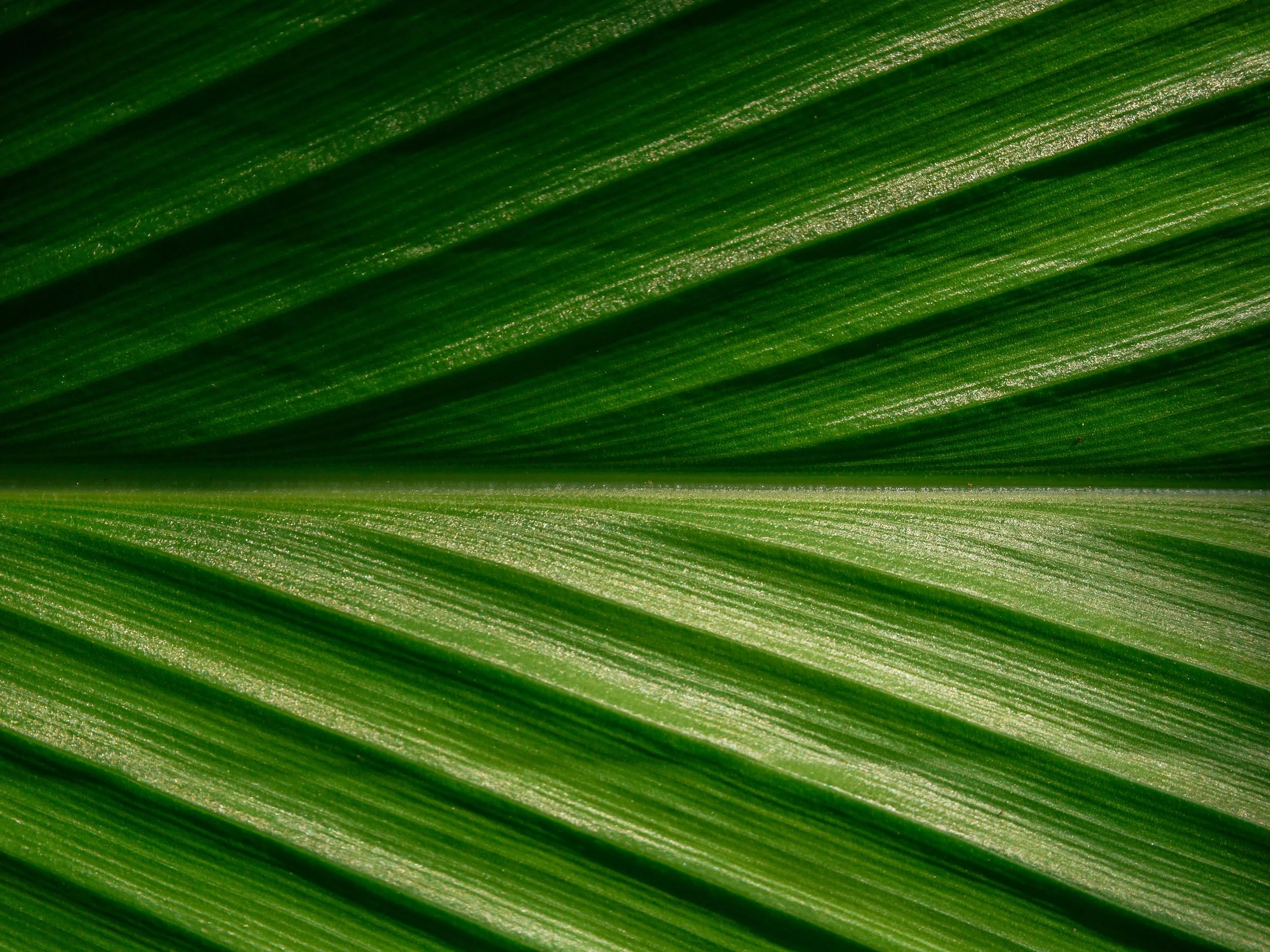 Where your patterns really come from