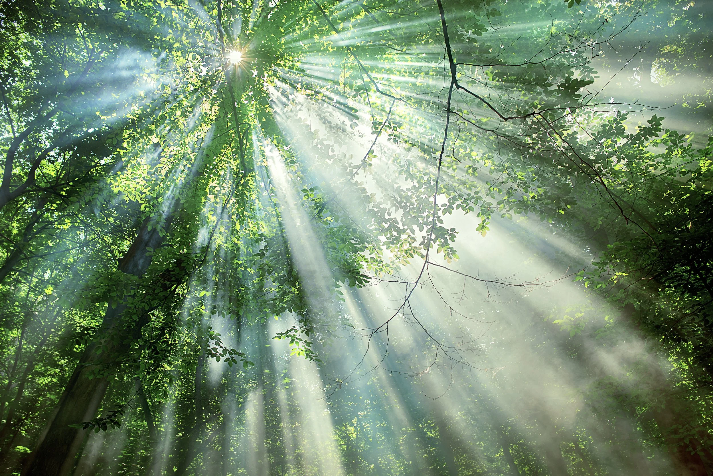 Staying open to hope during difficult times