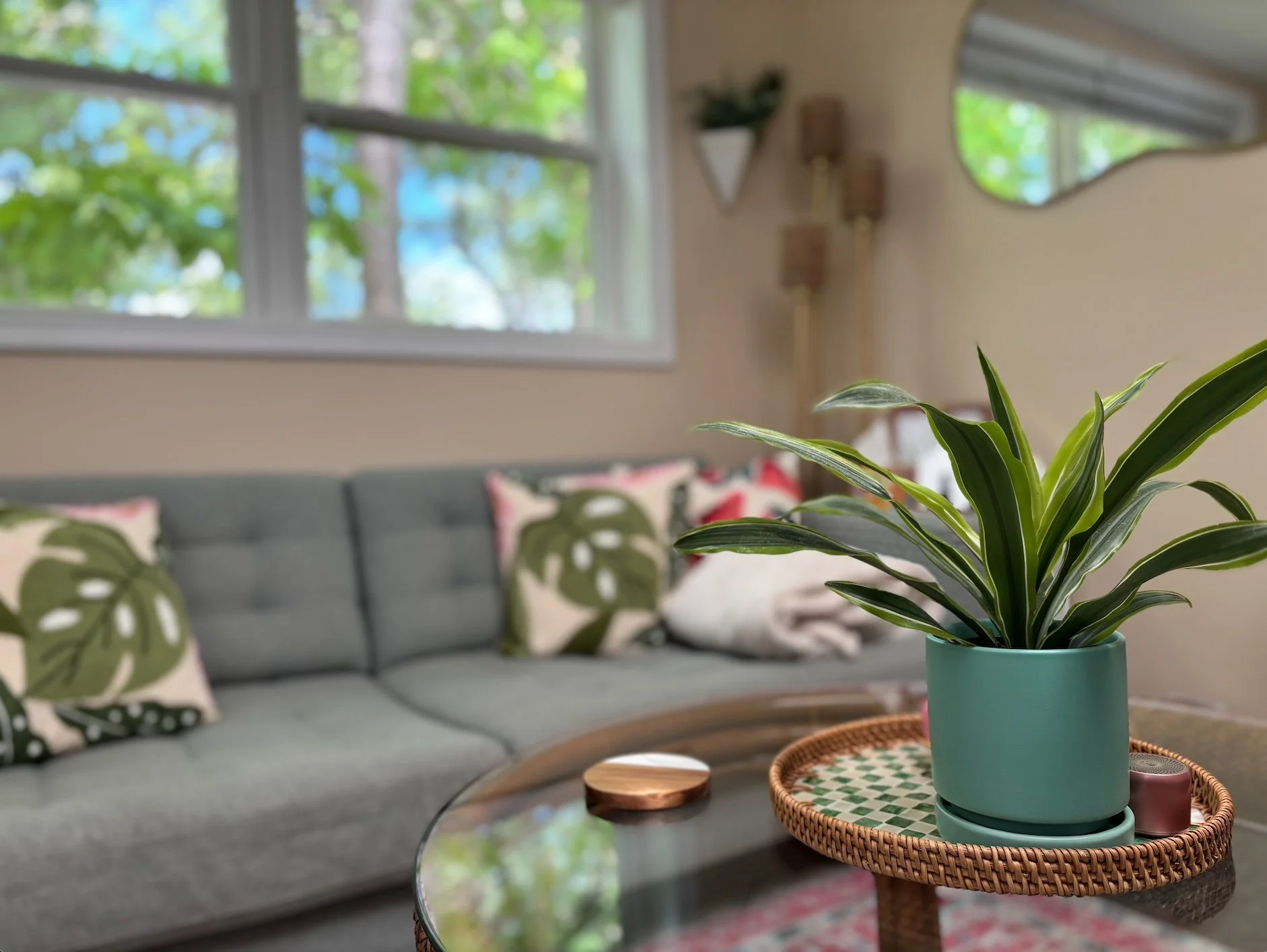 A potted green plant with long, pointed leaves on a woven rattan table in a therapy space, with a sofa and decorative pillows featuring leaf prints in the background. A window with trees outside is visible behind the sofa.