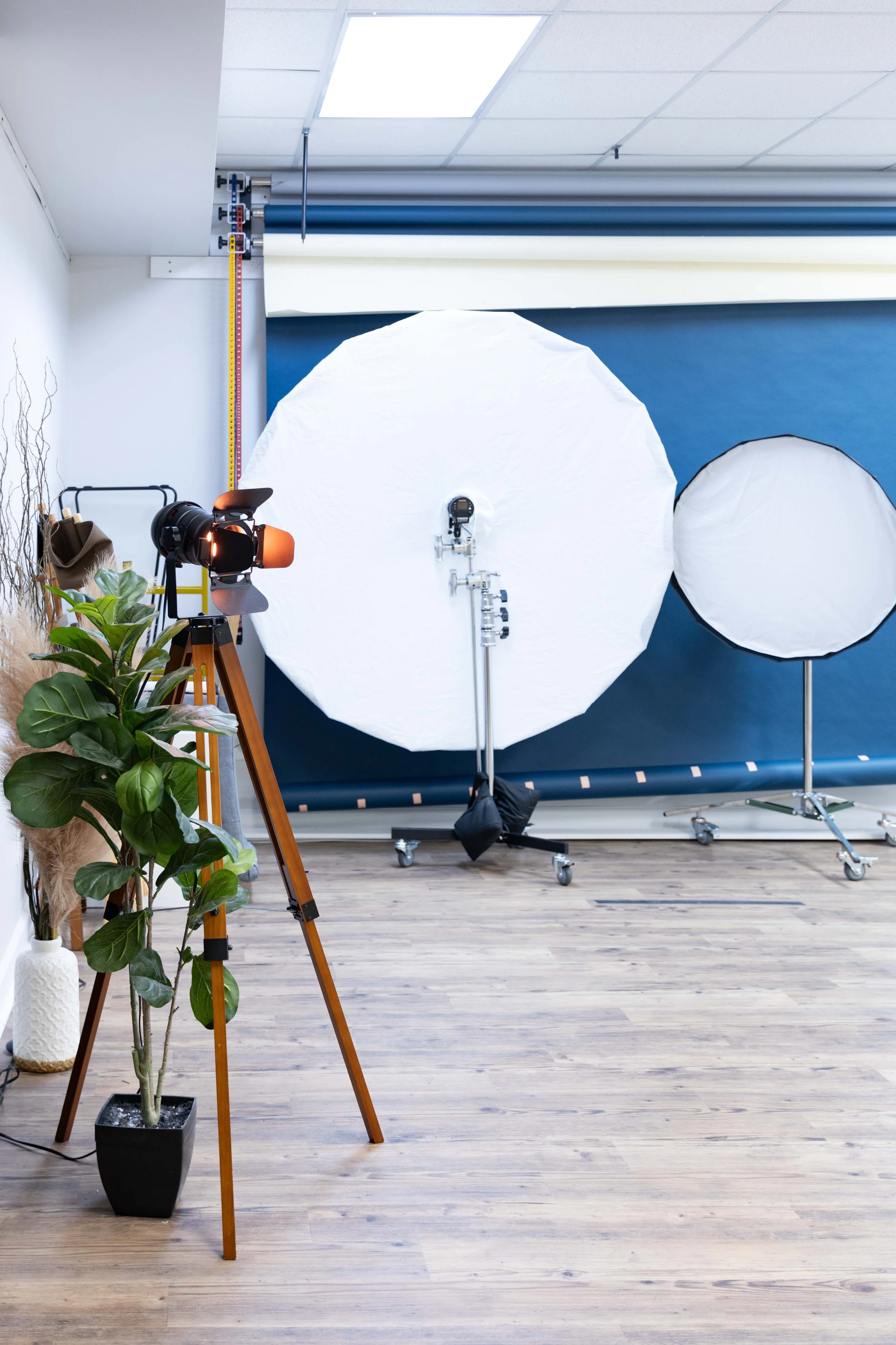photography-studio-tour-new-bern-3Q8A3174.jpg