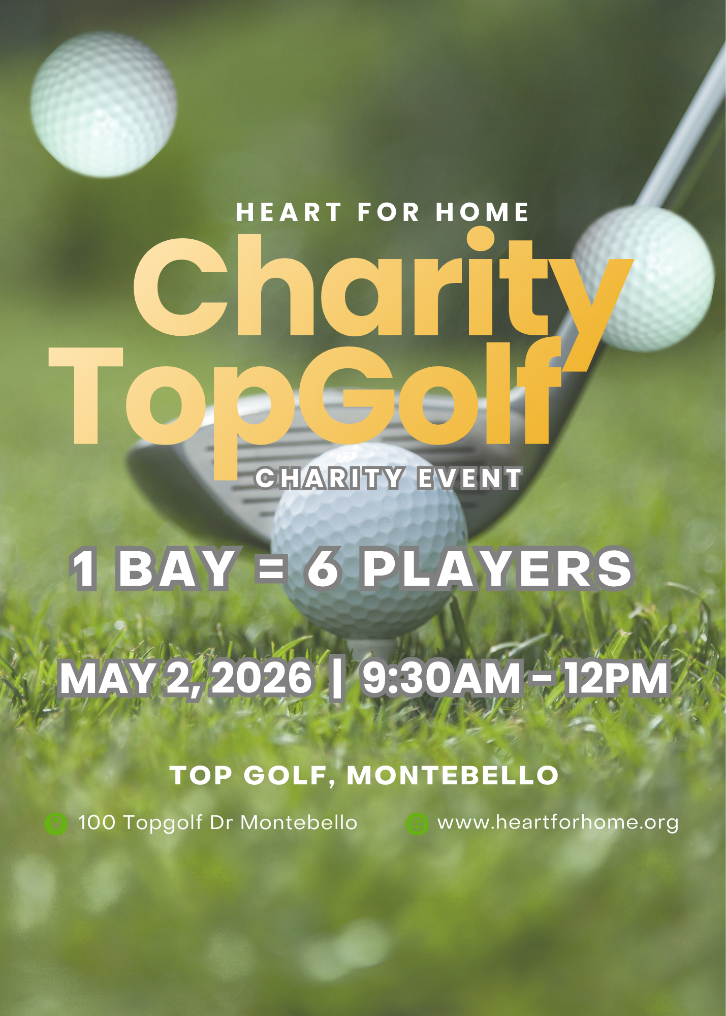 Top Golf Website Purchase Image - 1 Bay 6 Players.png