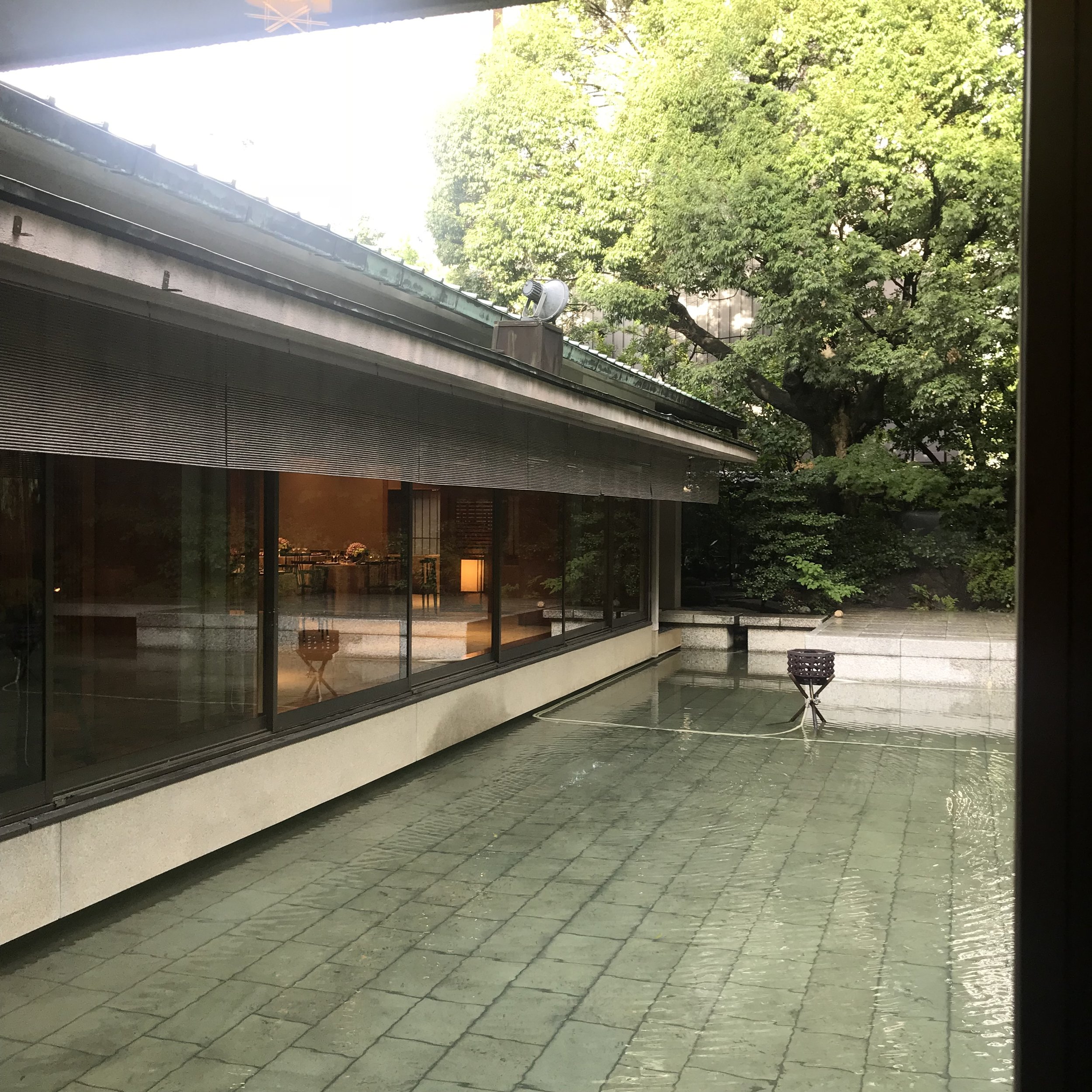 IMG_4439.jpeg