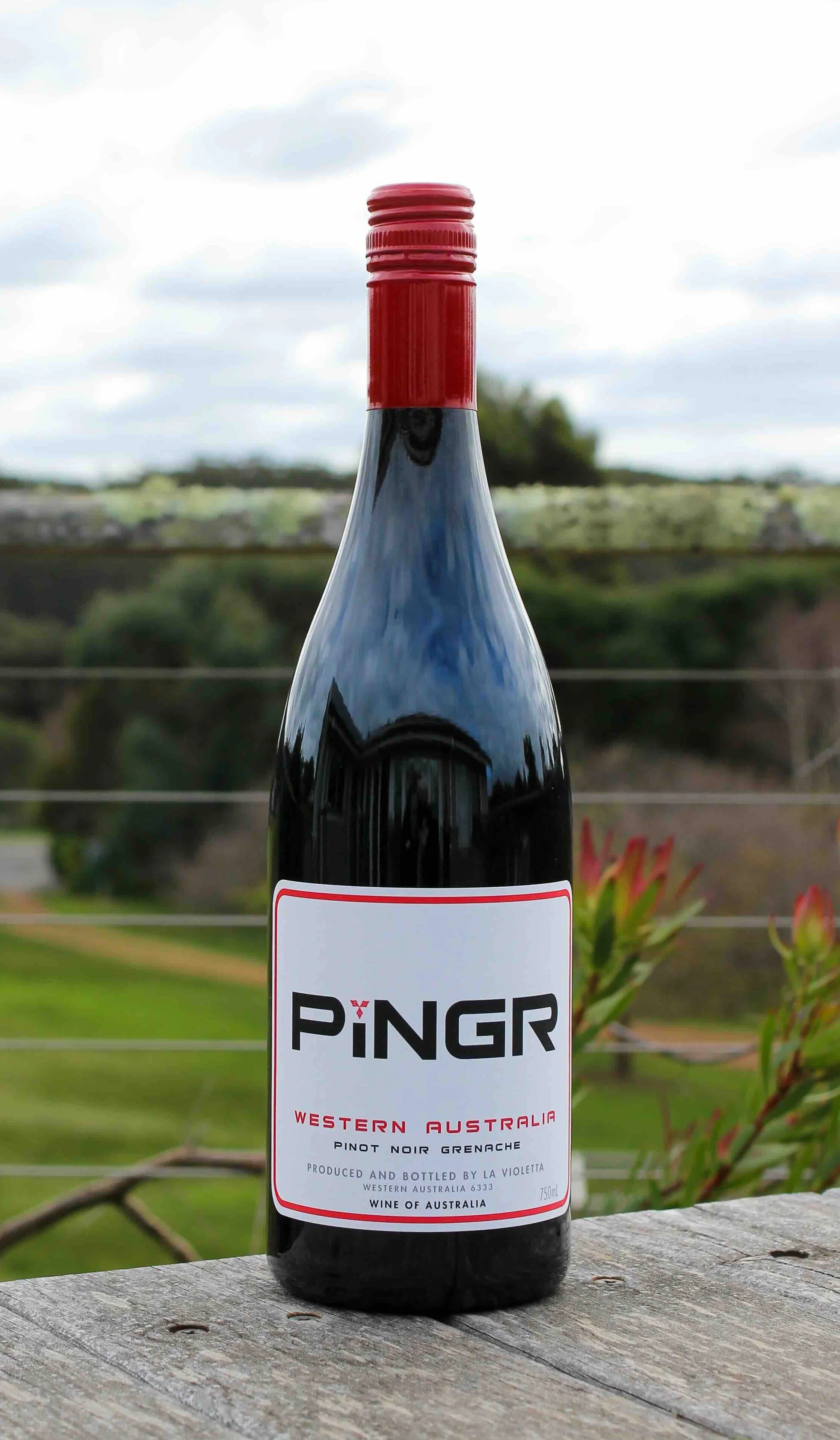 PiNGR Pinot Noir Grenache 2025