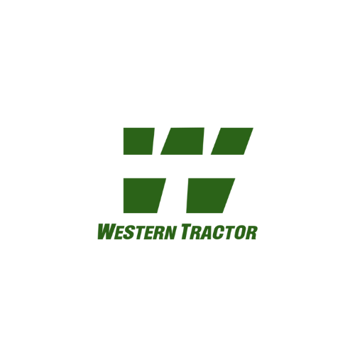 6.png
