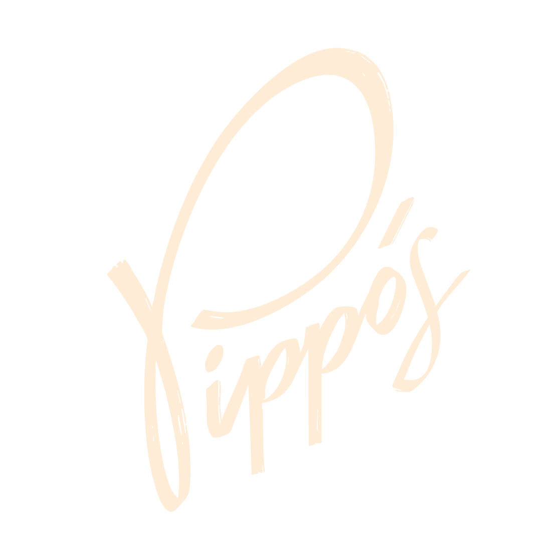 Pippo&#39;s Pizza e Cucina Marrickville