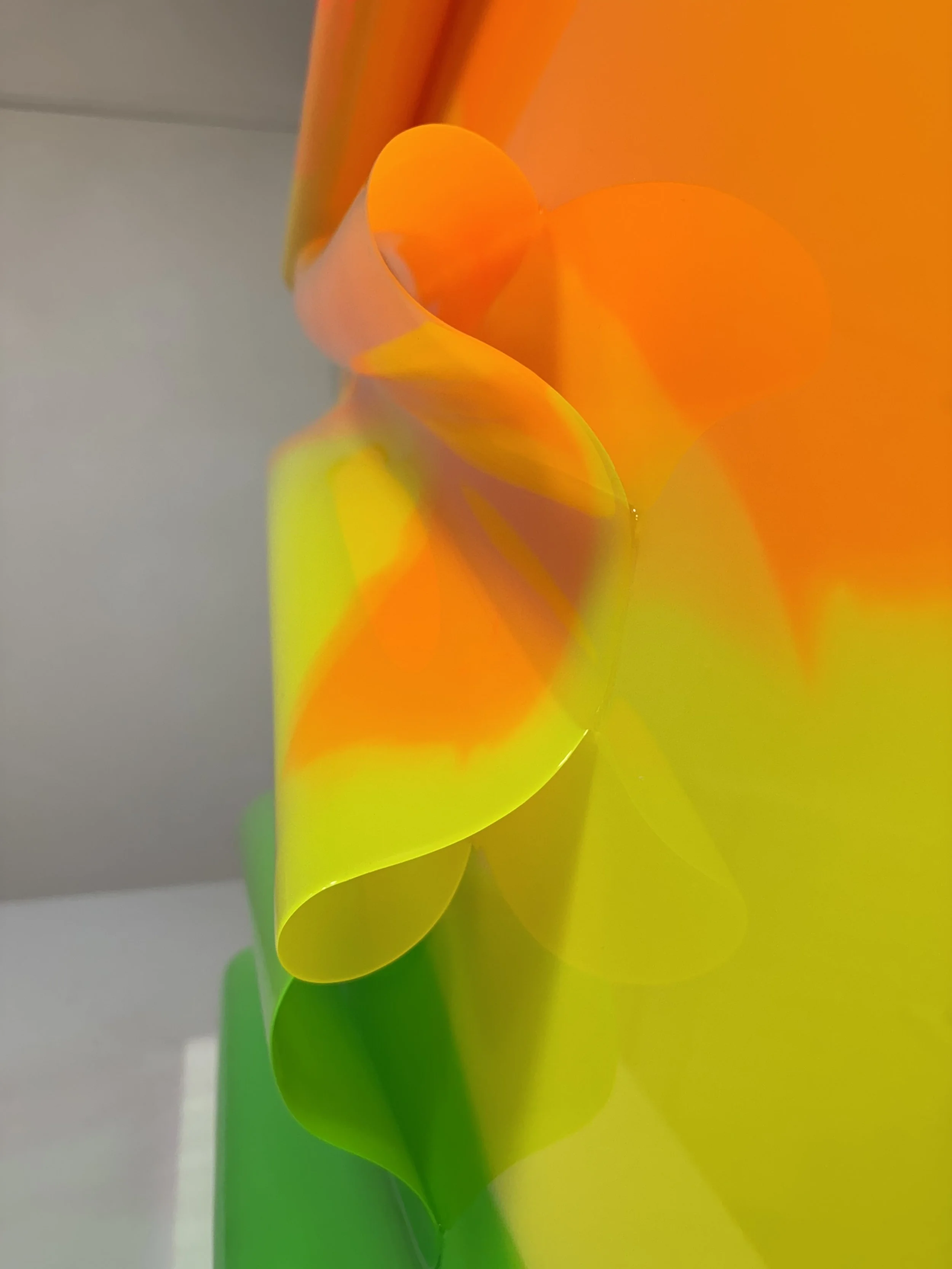 IMG_4906.jpeg