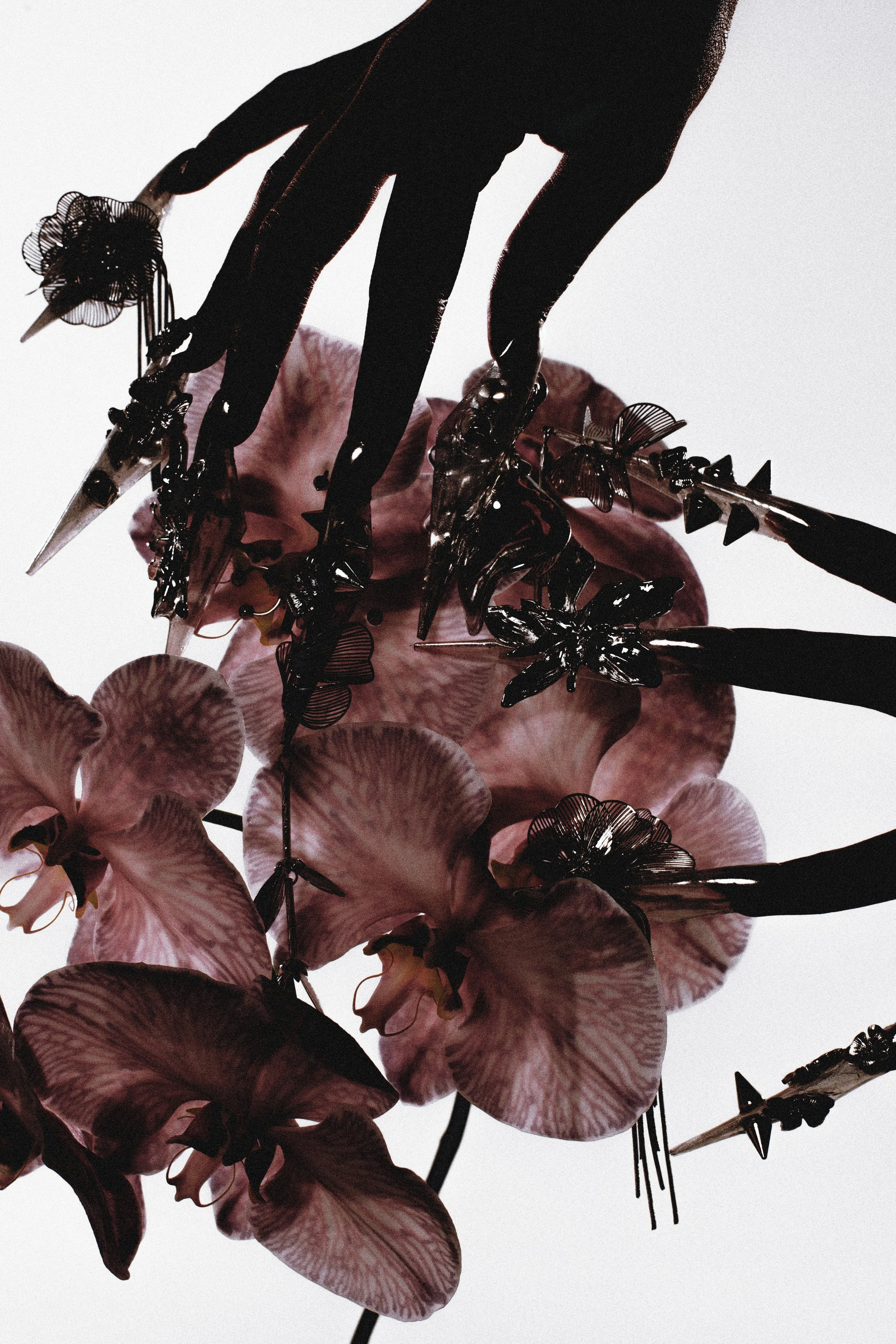 Untitled Session1627 2.jpg