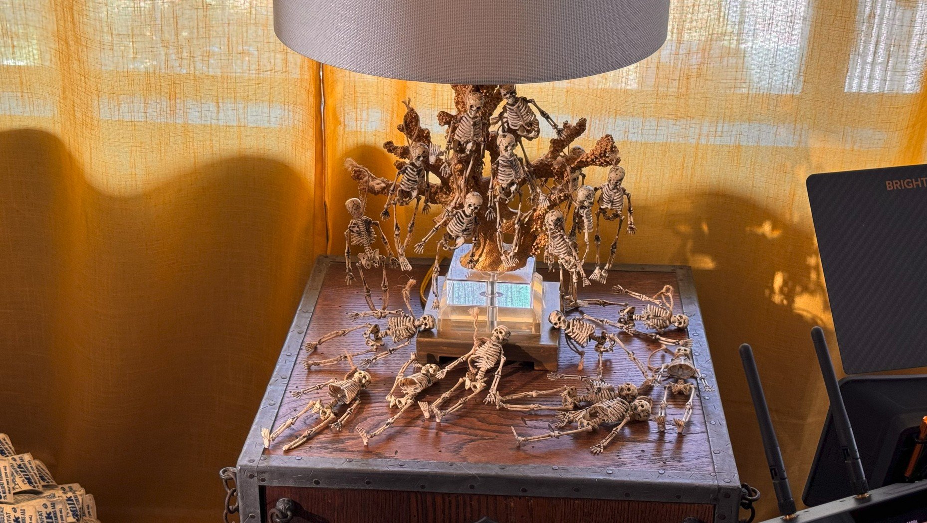 Screenshot 2026-03-02 171450.jpg