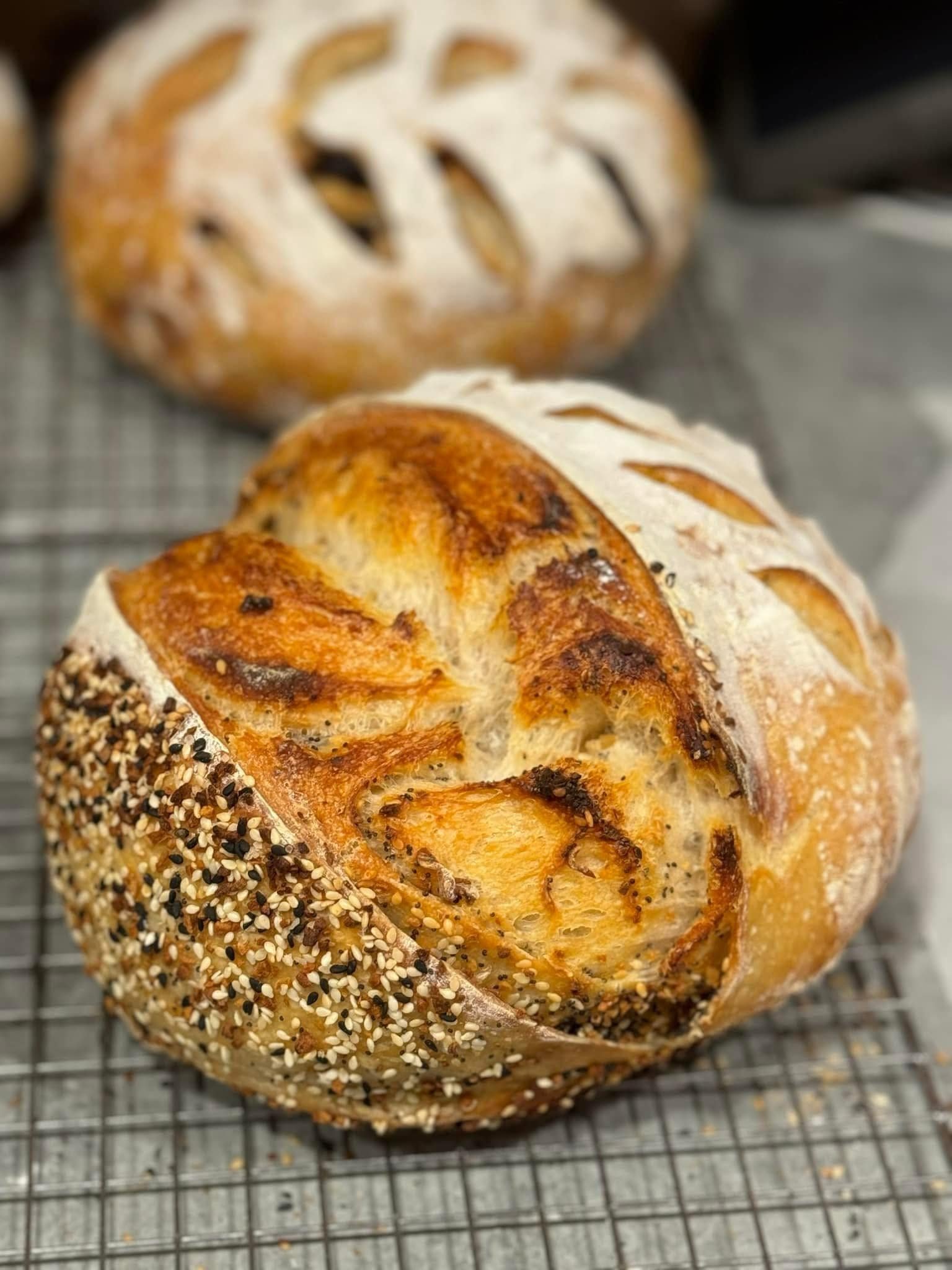 Bailey farms sd bread 2.jpeg