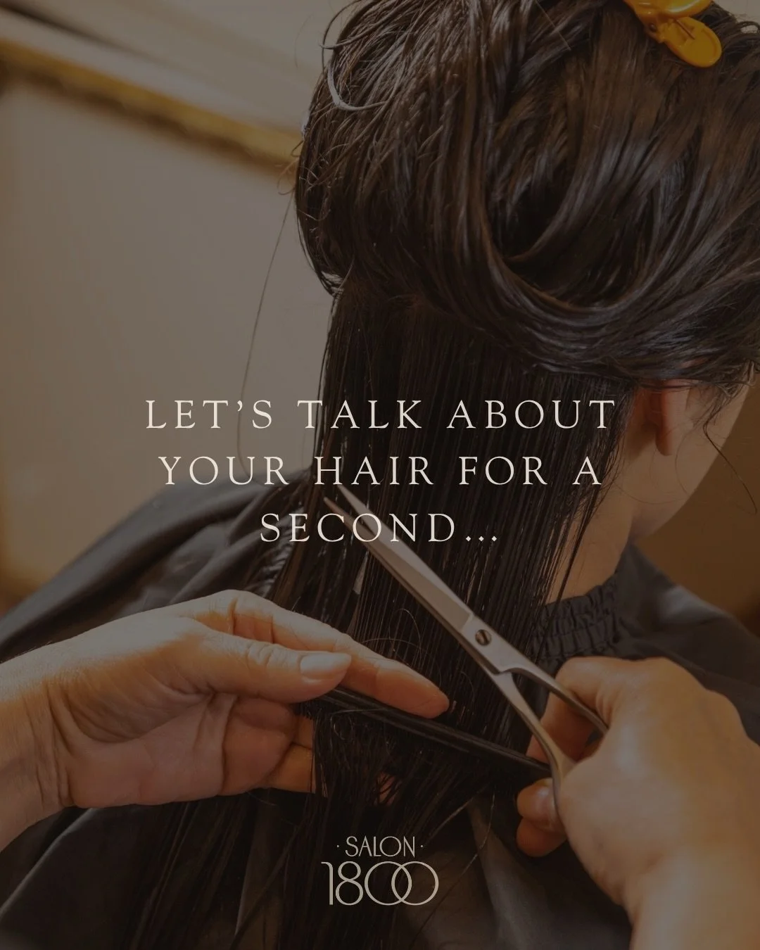 We spend a lot of time talking about color and style, but great hair usually starts with the basics.
The right habits between appointments can make all the difference in how your hair grows, feels, and styles.

#lincolnpark #chicagohairstylist #hairt