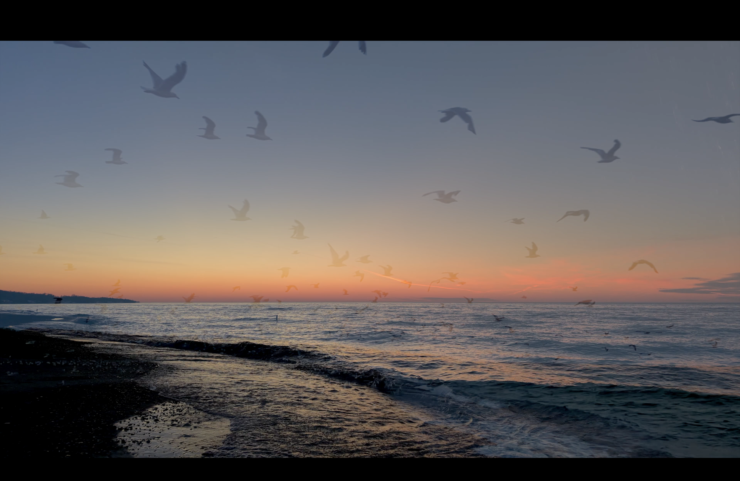 Screenshot 2025-10-29 at 8.43.06 PM.png