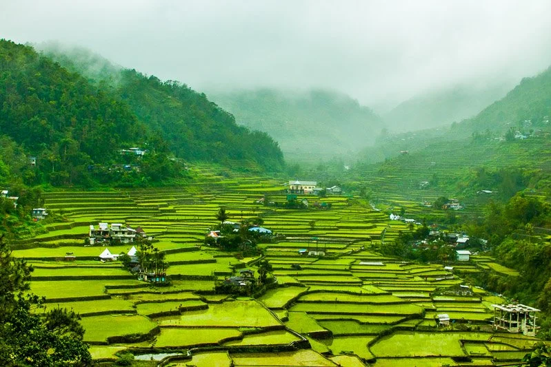 Banaue-Rice-Fields.jpg