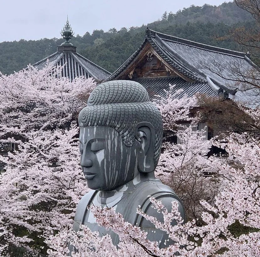 IJ Saka-dera temple near Nara 2.jpeg