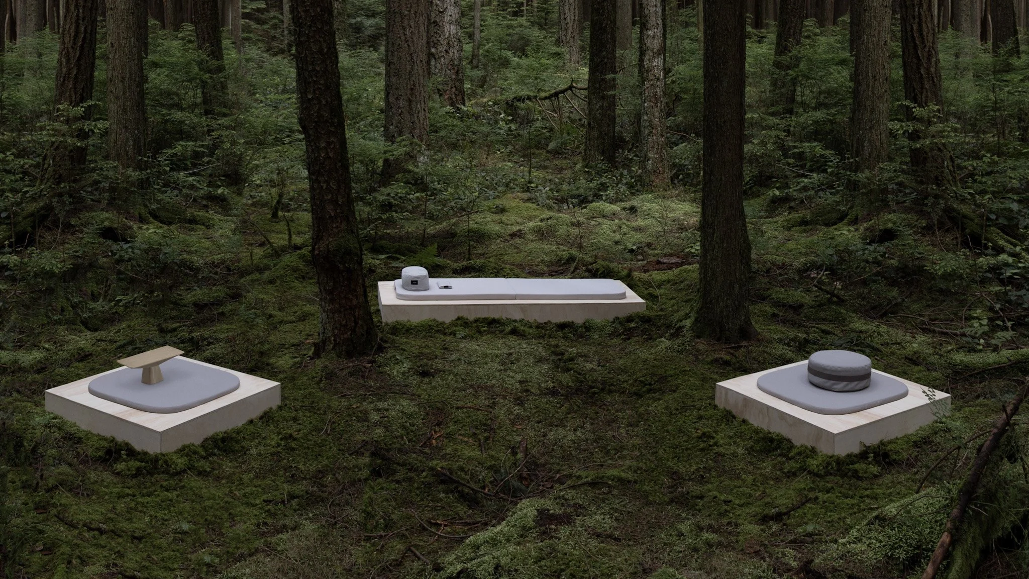 Modern outdoor seating with cushions and a small table in a forest with tall trees and green moss.