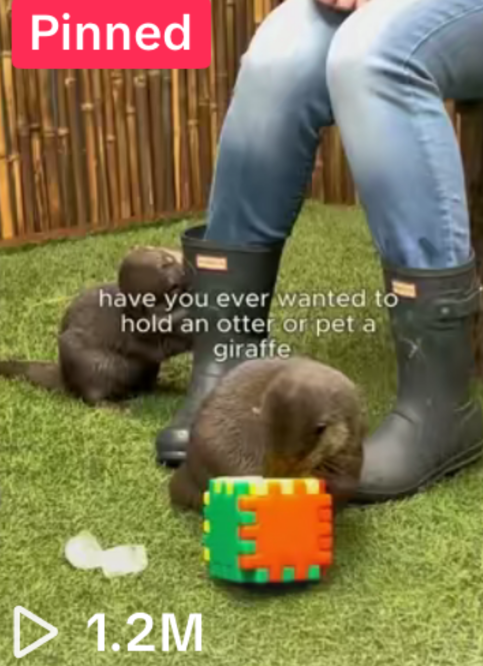 Kinley Inc Marketing Client Viral Video Results