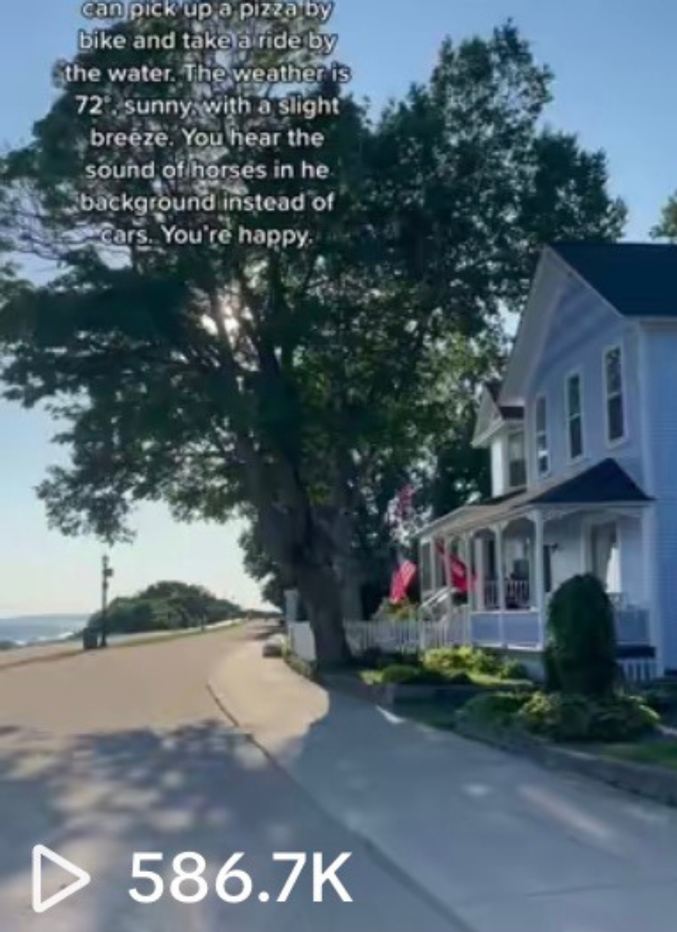 Kinley Inc Marketing Client Viral Video Results