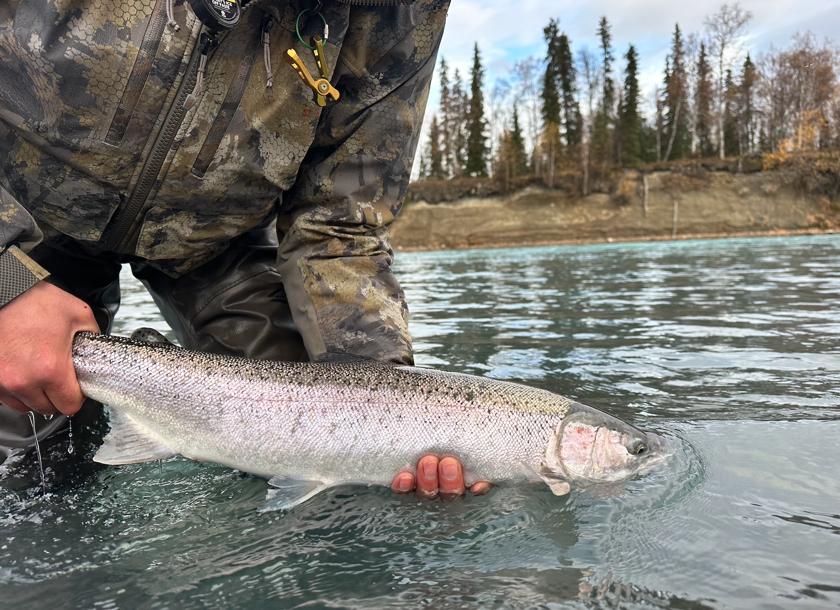 Screen Shot 2026-02-22 at 10.11.14 PM.png