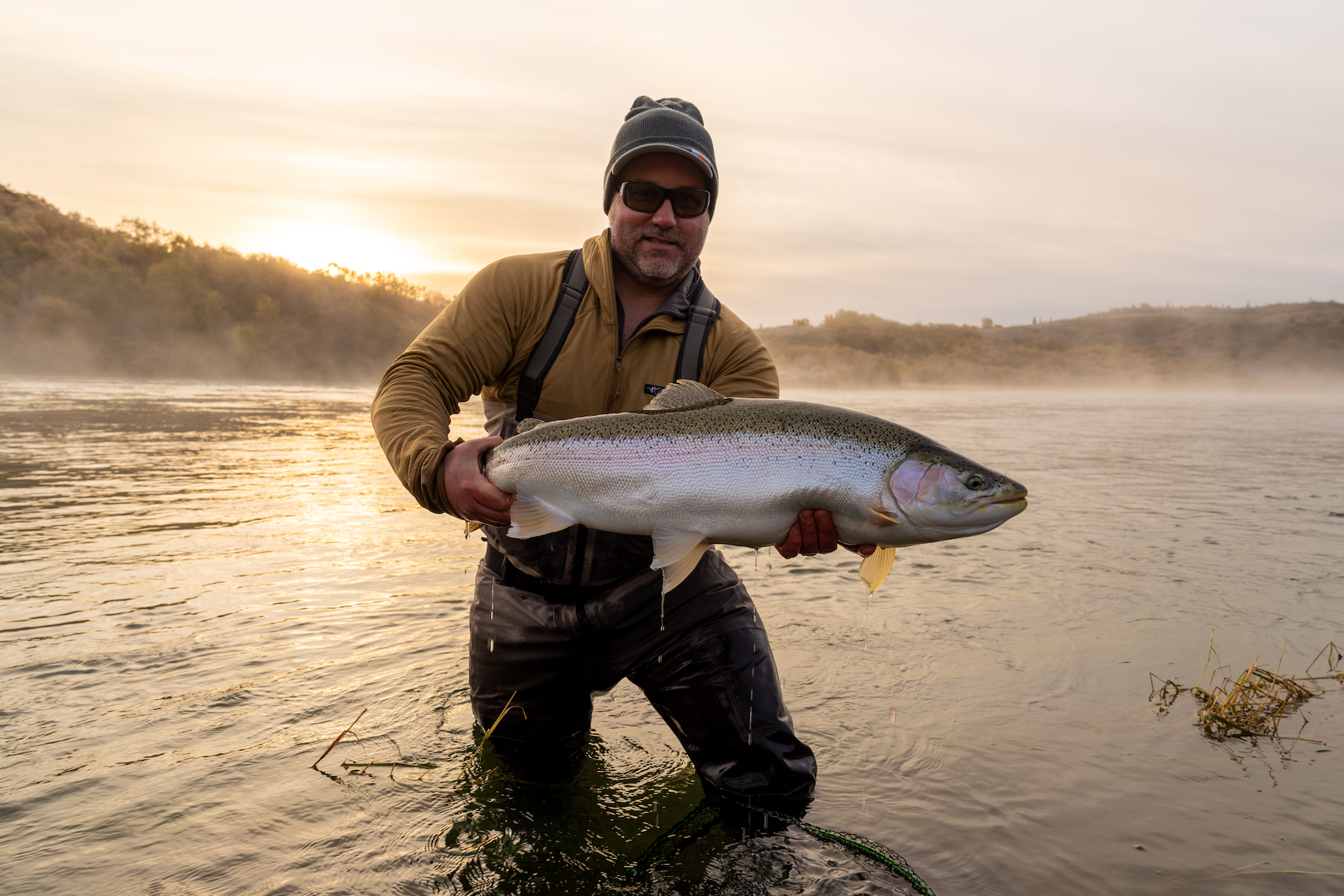 Screen Shot 2026-02-22 at 8.11.14 PM.png