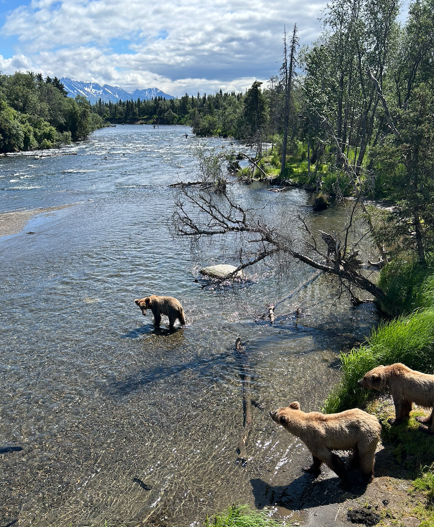 Screen Shot 2026-02-22 at 8.08.43 PM.png