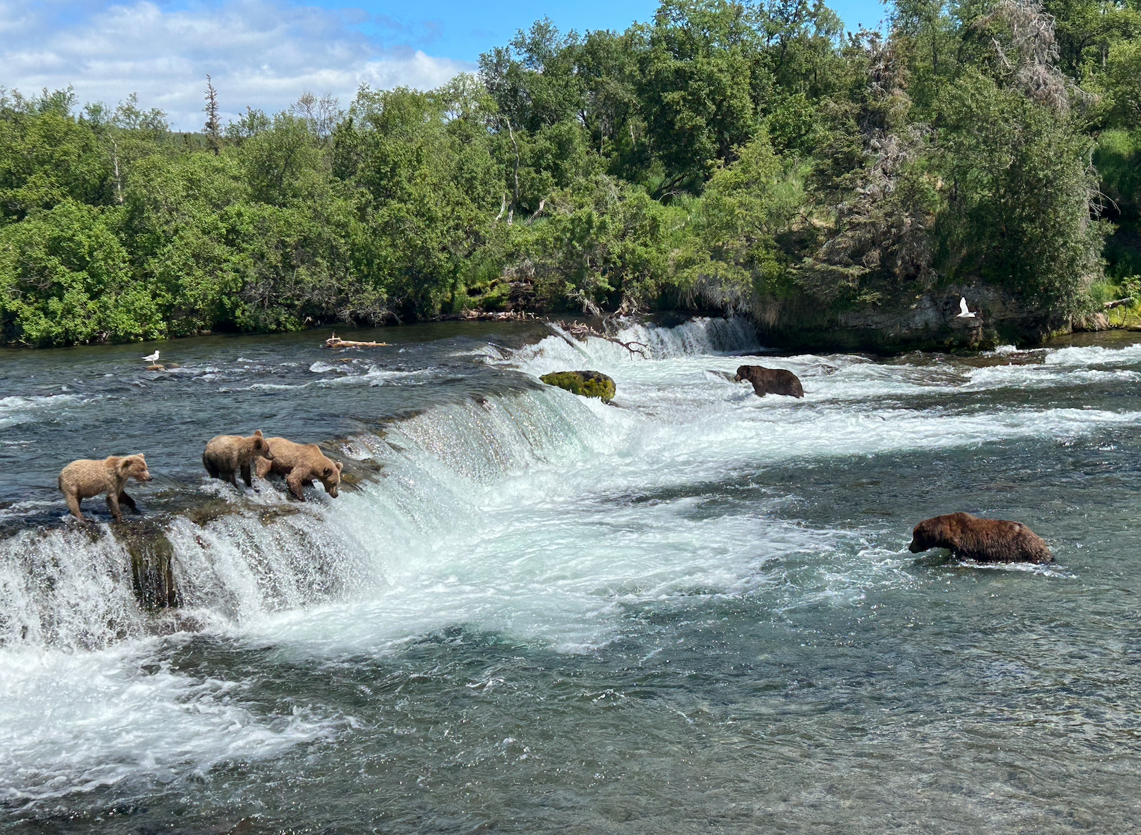 Screen Shot 2026-02-22 at 8.08.21 PM.png