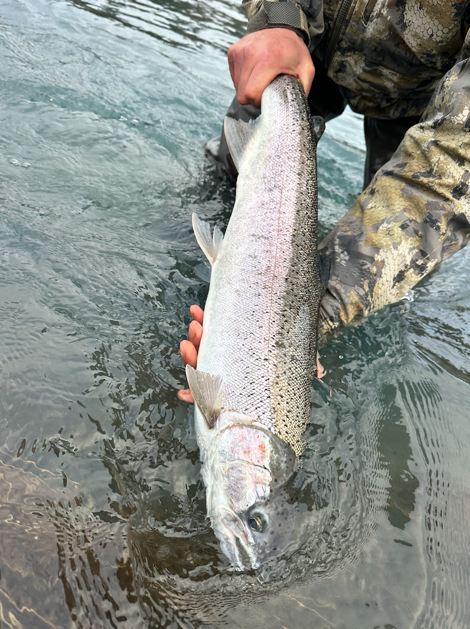 Screen Shot 2026-02-22 at 10.11.31 PM.png