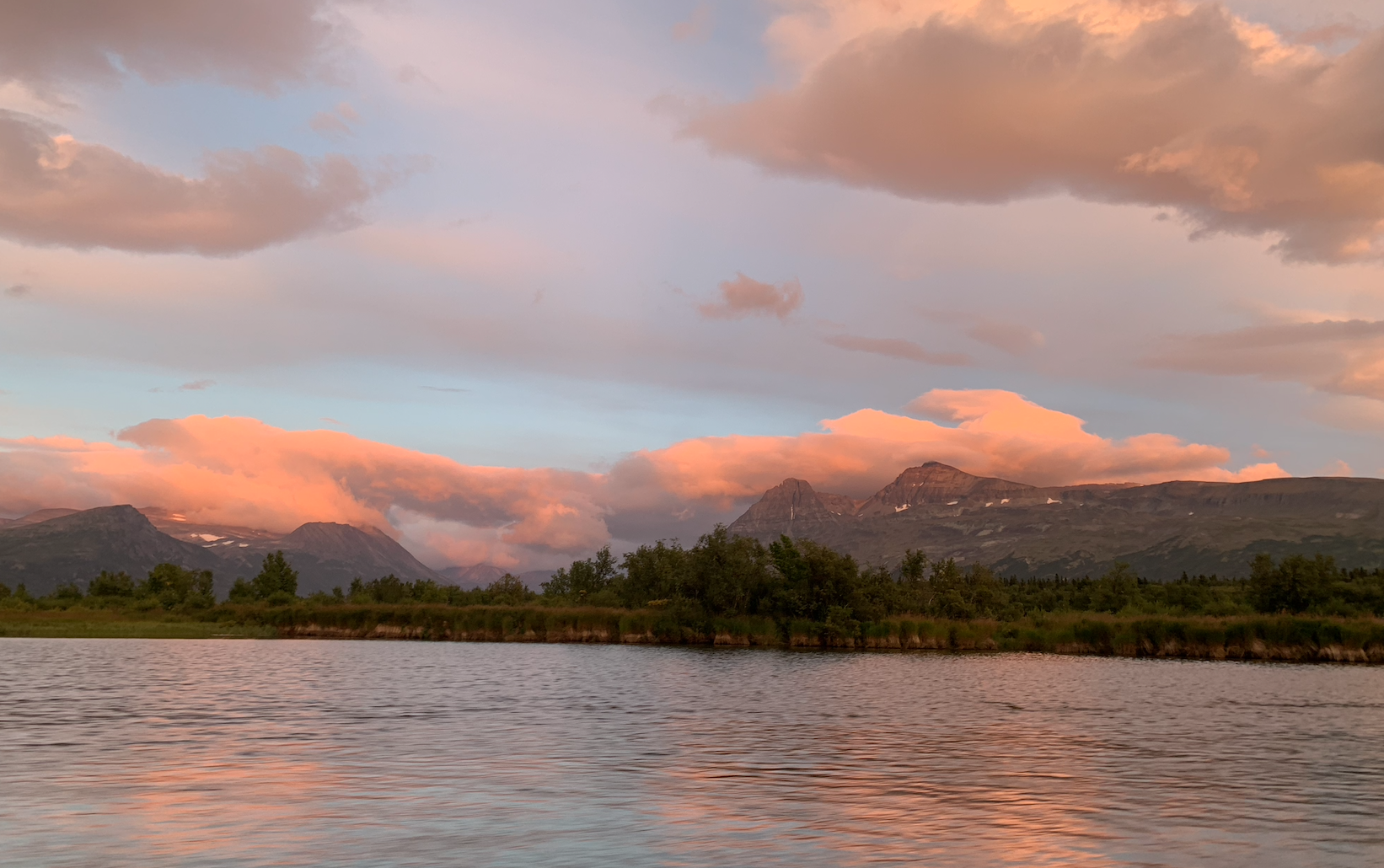 Screen Shot 2026-02-22 at 8.09.02 PM.png