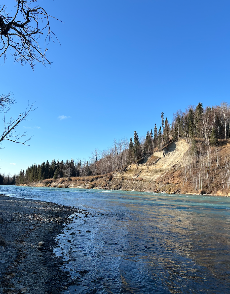 Screen Shot 2025-05-17 at 2.42.10 PM.png